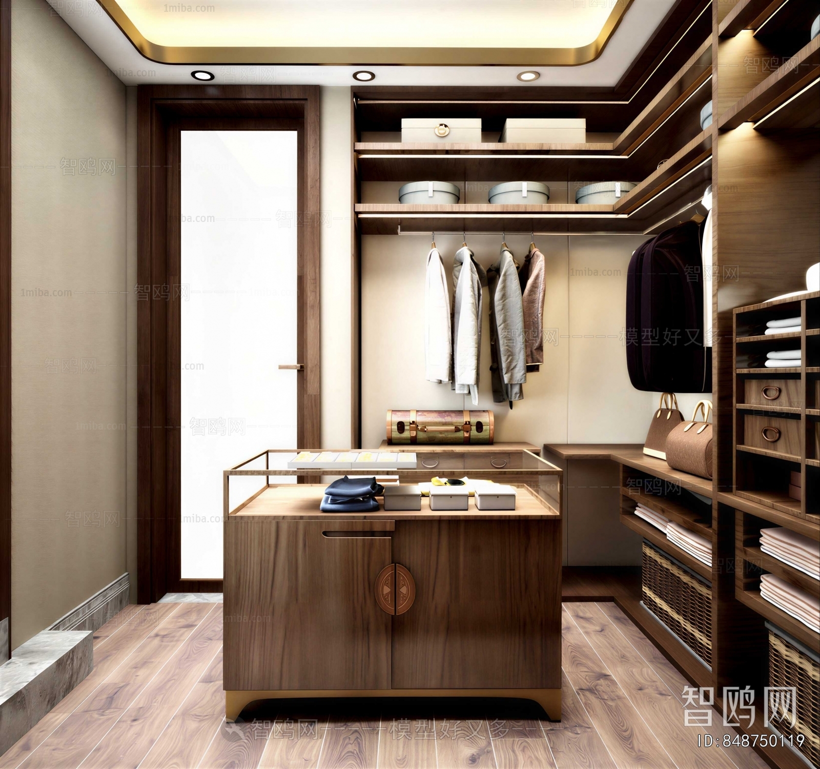 Modern Clothes Storage Area