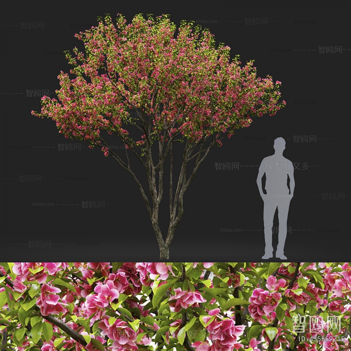 Modern Tree