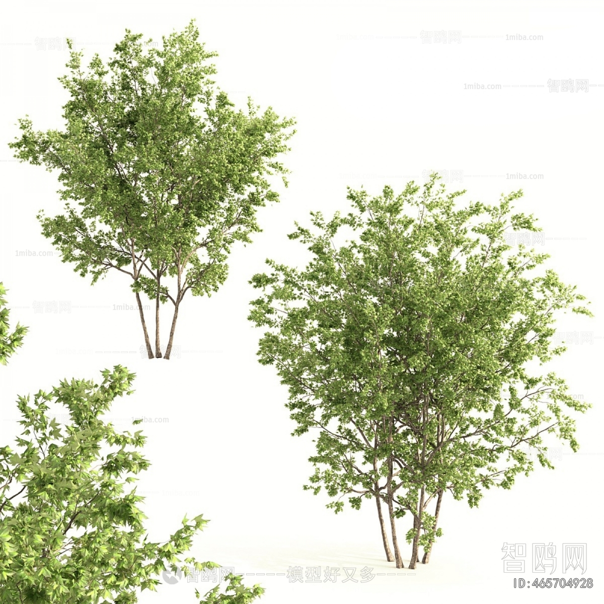 Modern Shrubbery