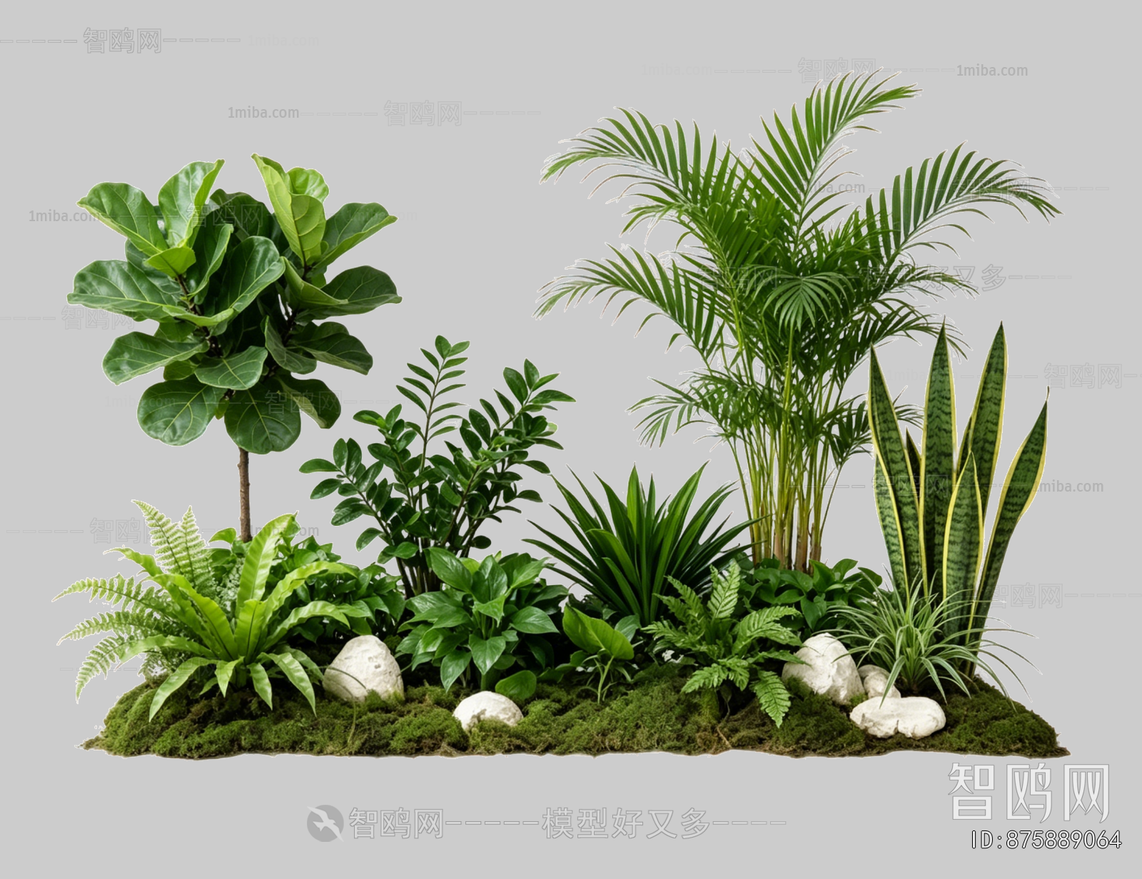 Plant Leaves