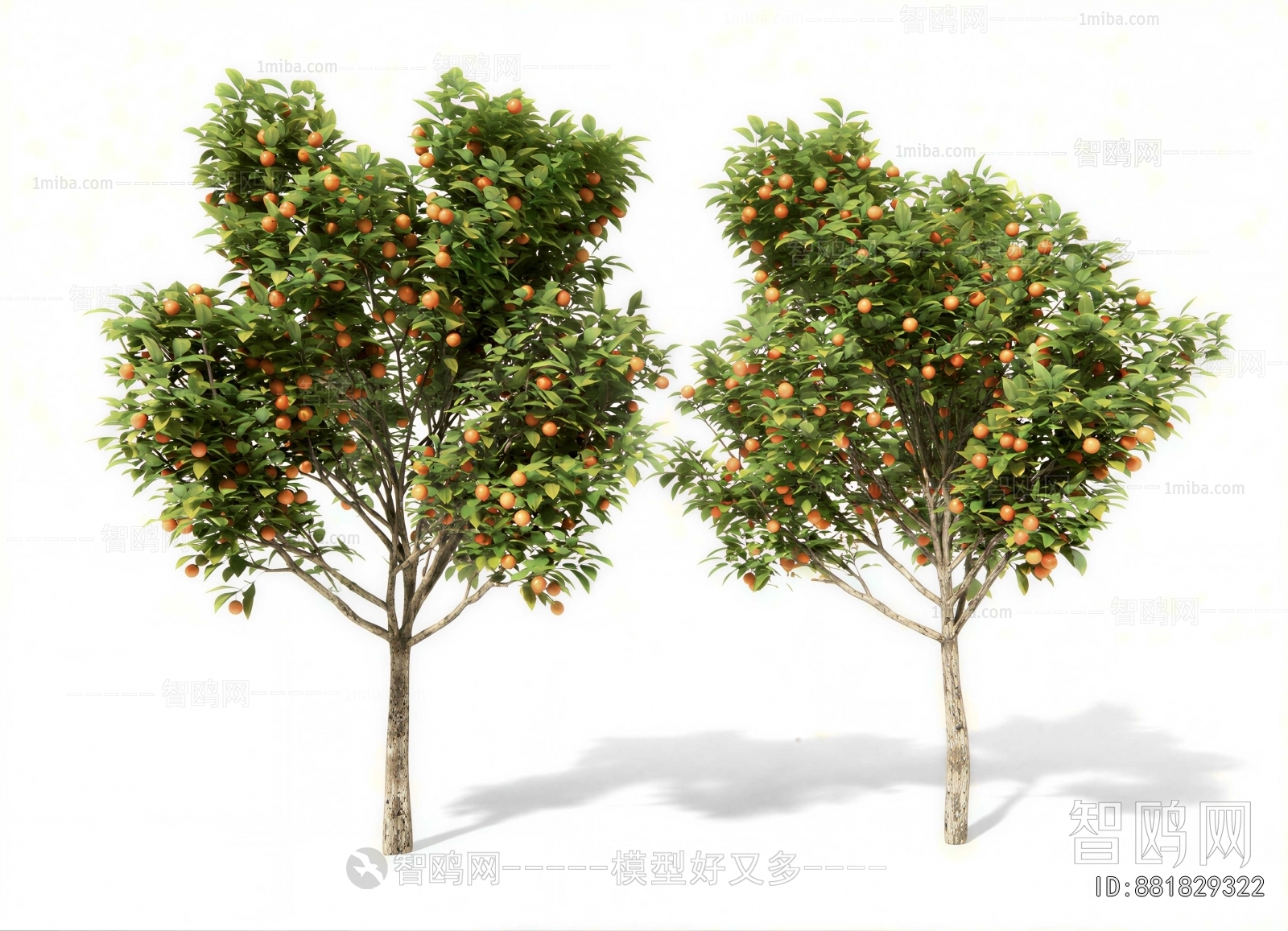 Modern Tree