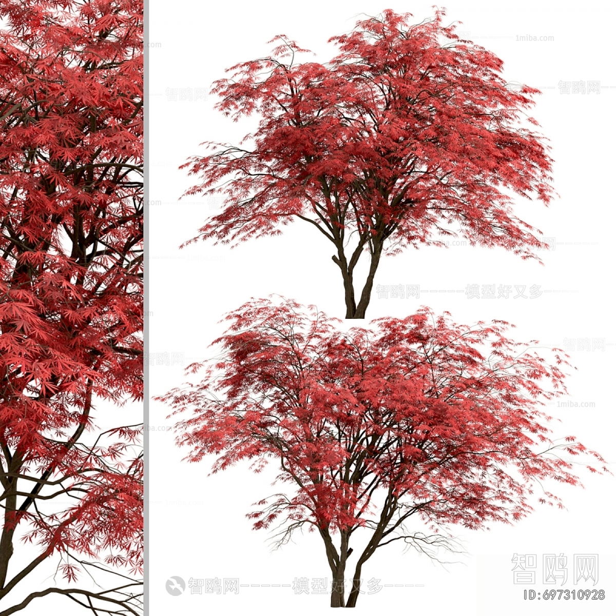 Modern Tree