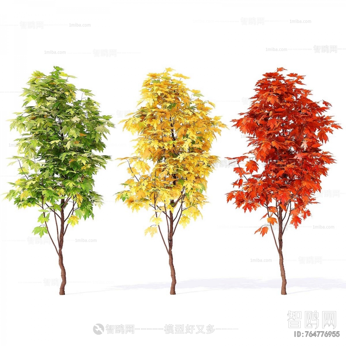 Modern Tree