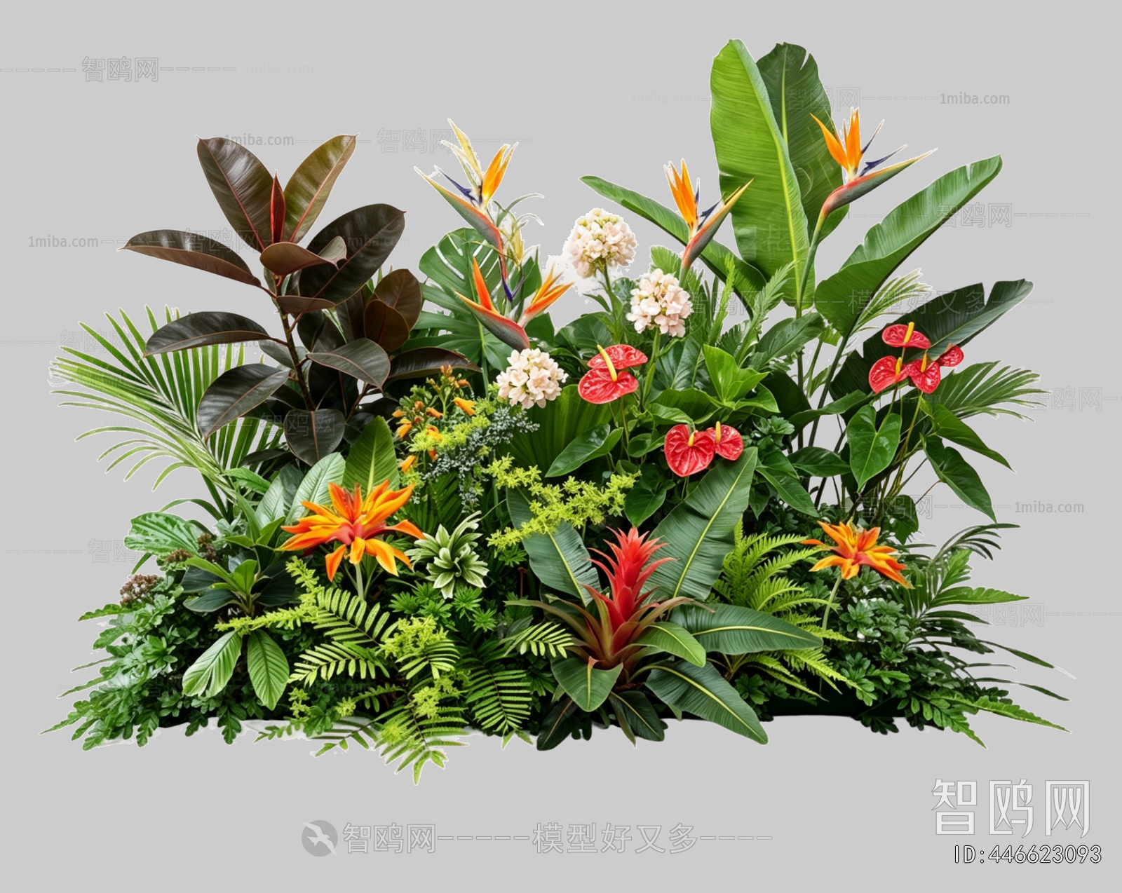 Plant Leaves