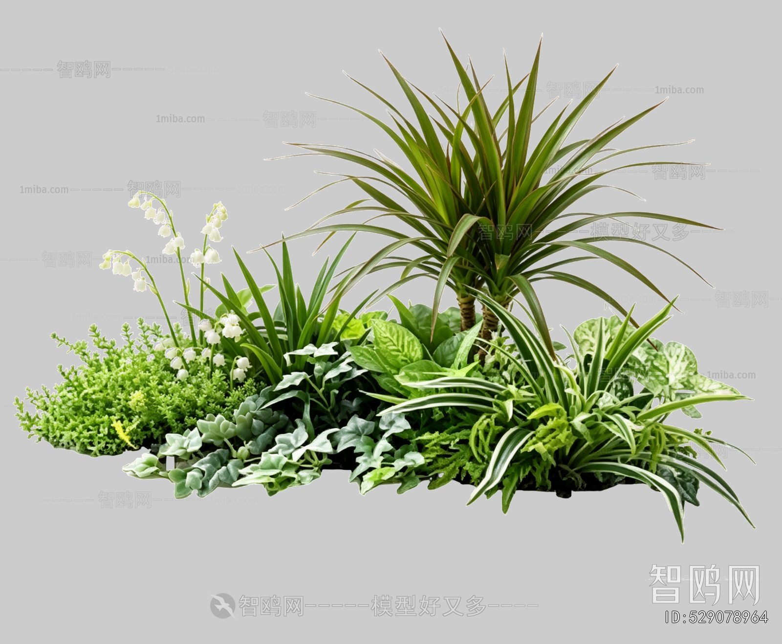 Plant Leaves