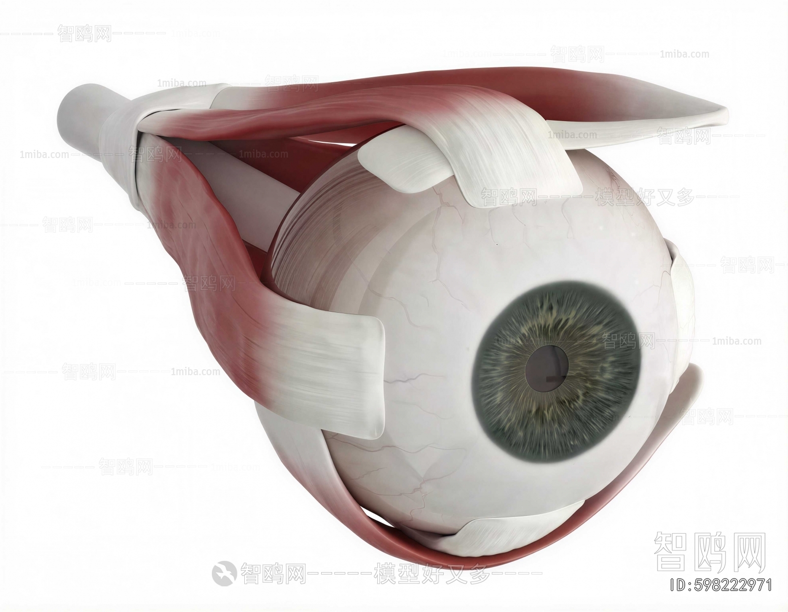 Modern Medical Equipment