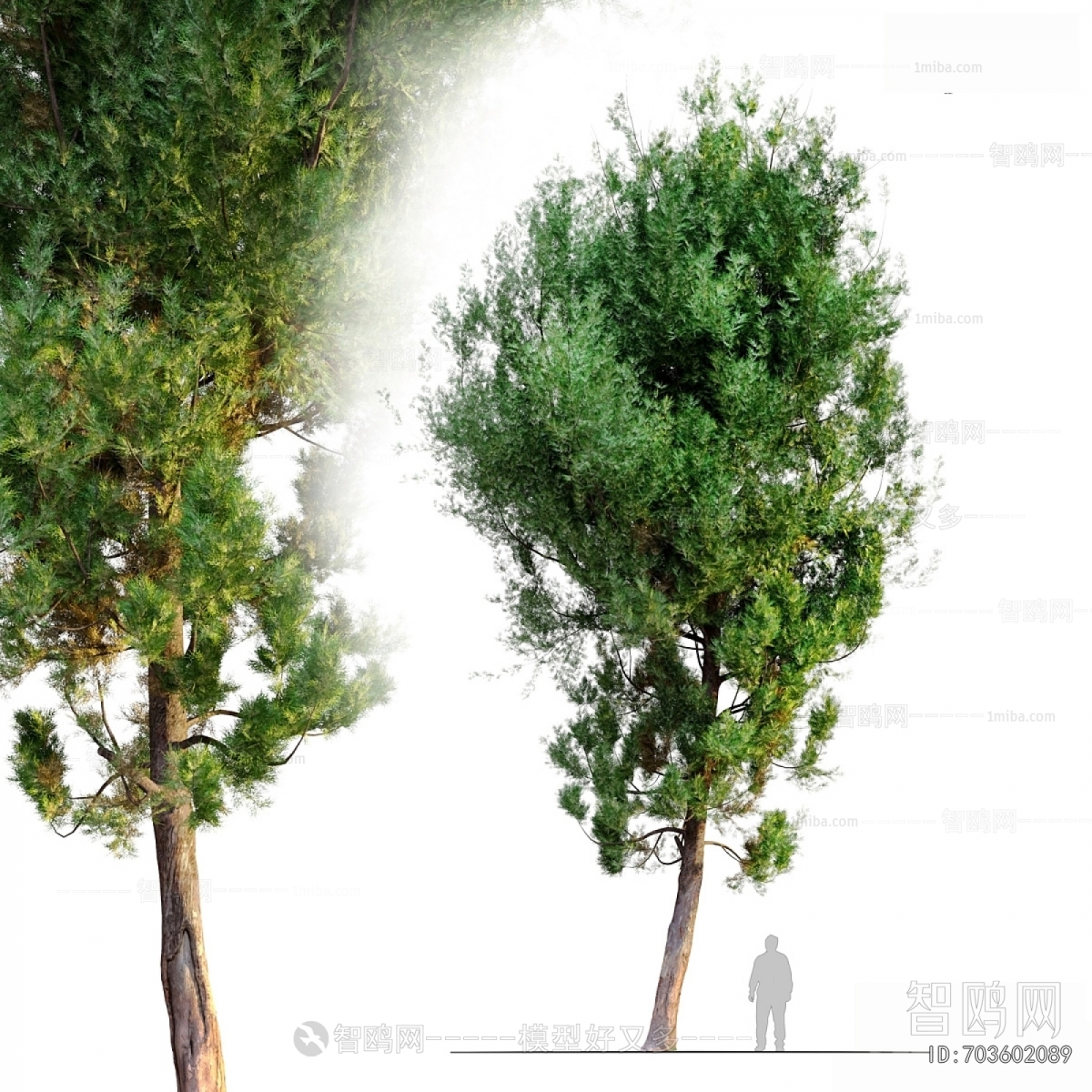 Modern Tree