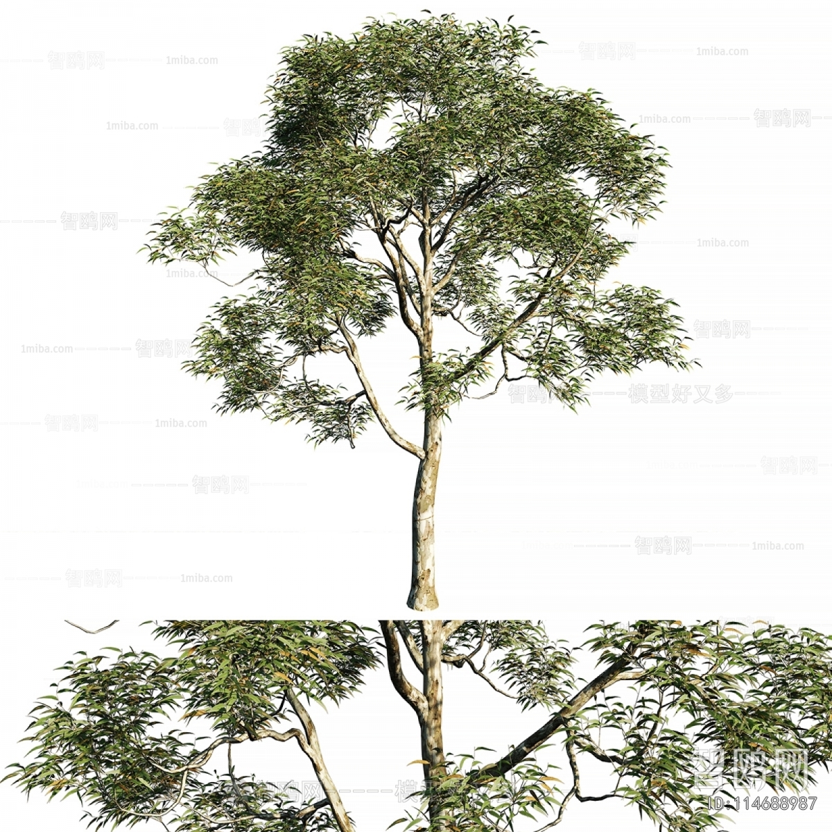 Modern Tree