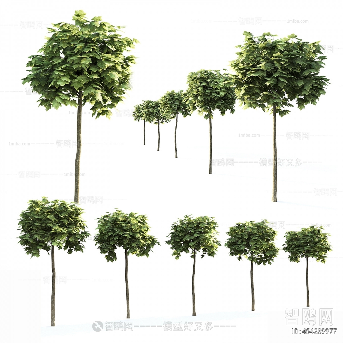 Modern Tree