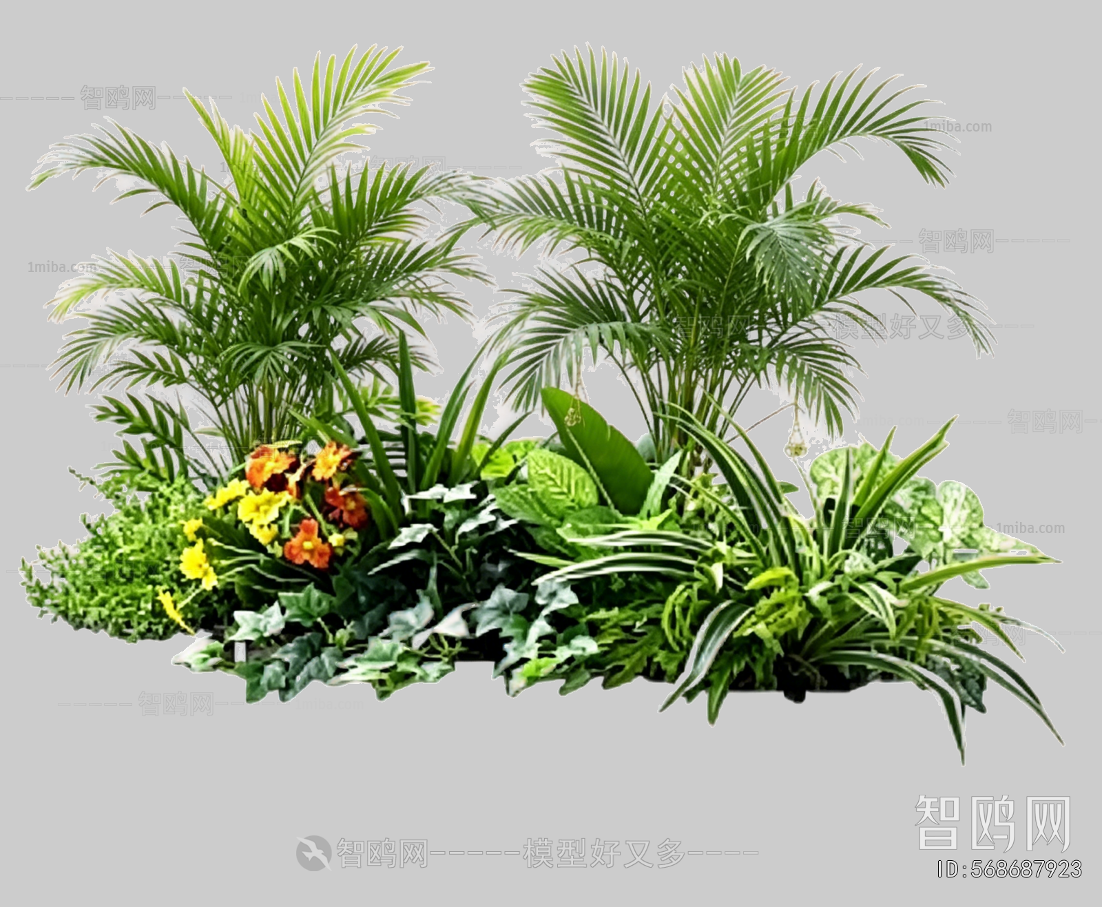 Plant Leaves