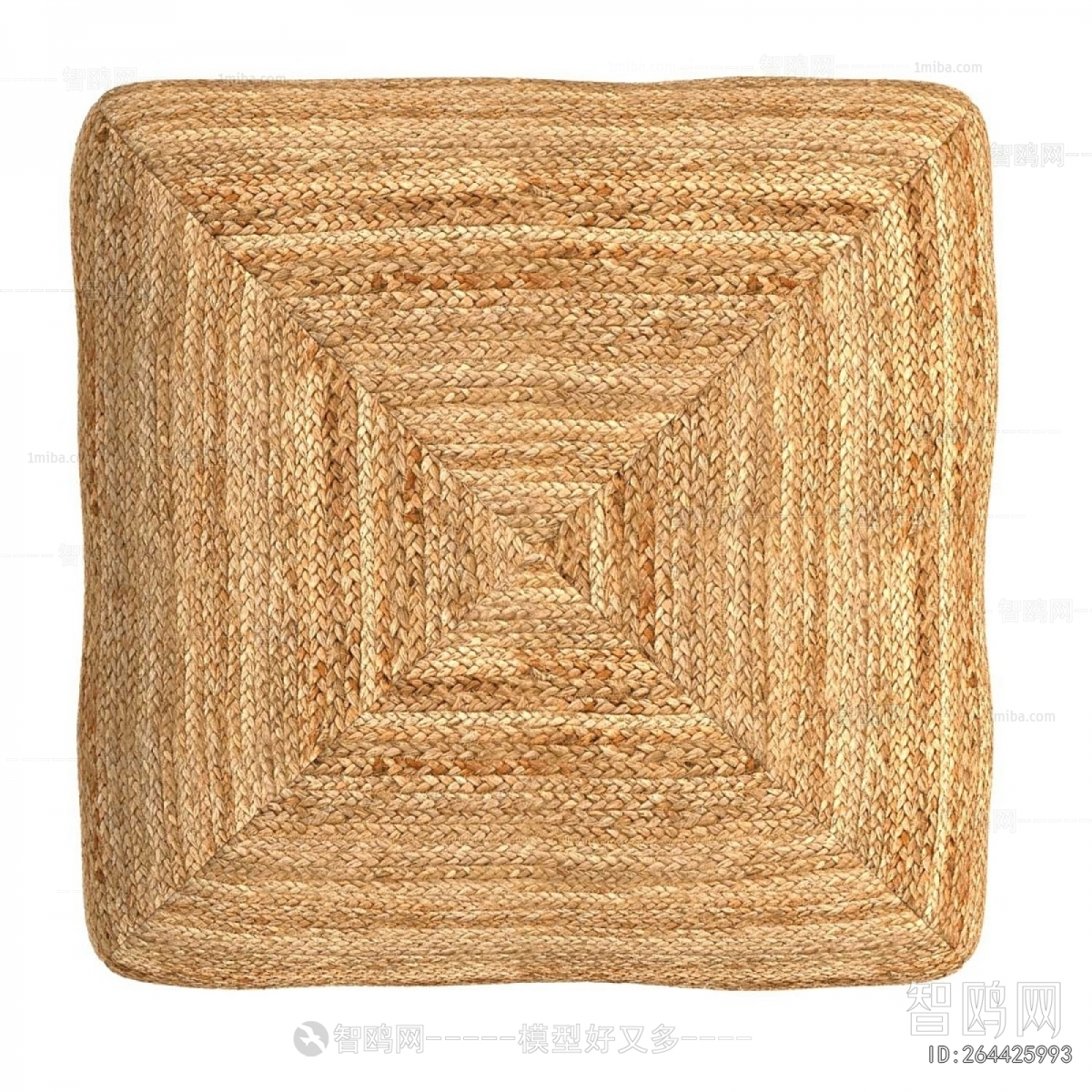 Modern Cushion