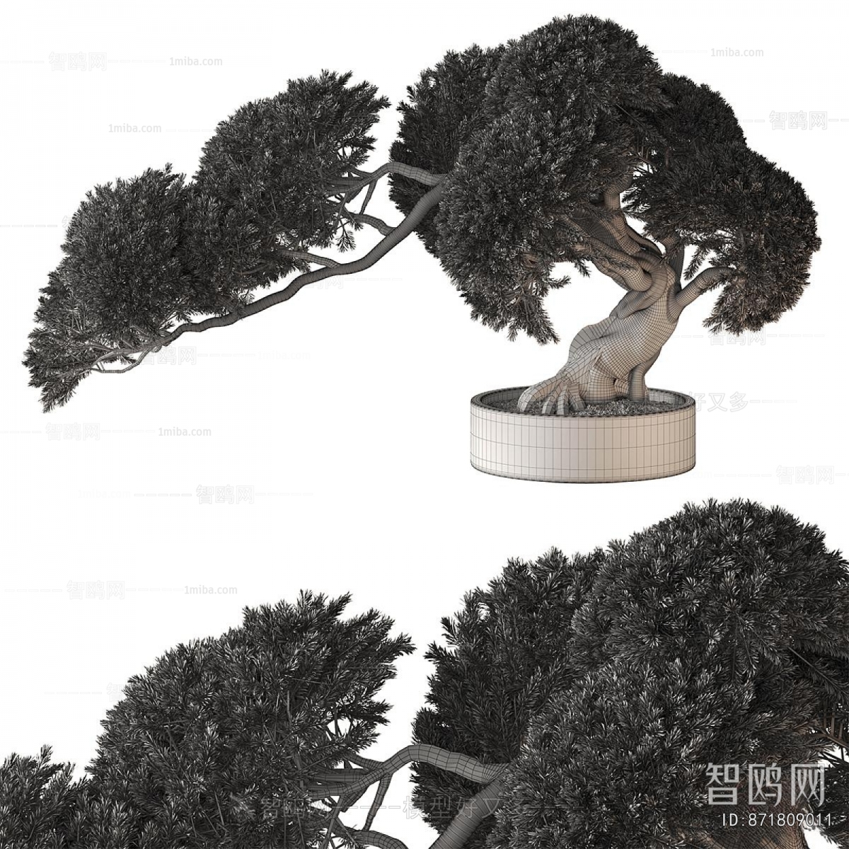 New Chinese Style Bonsai