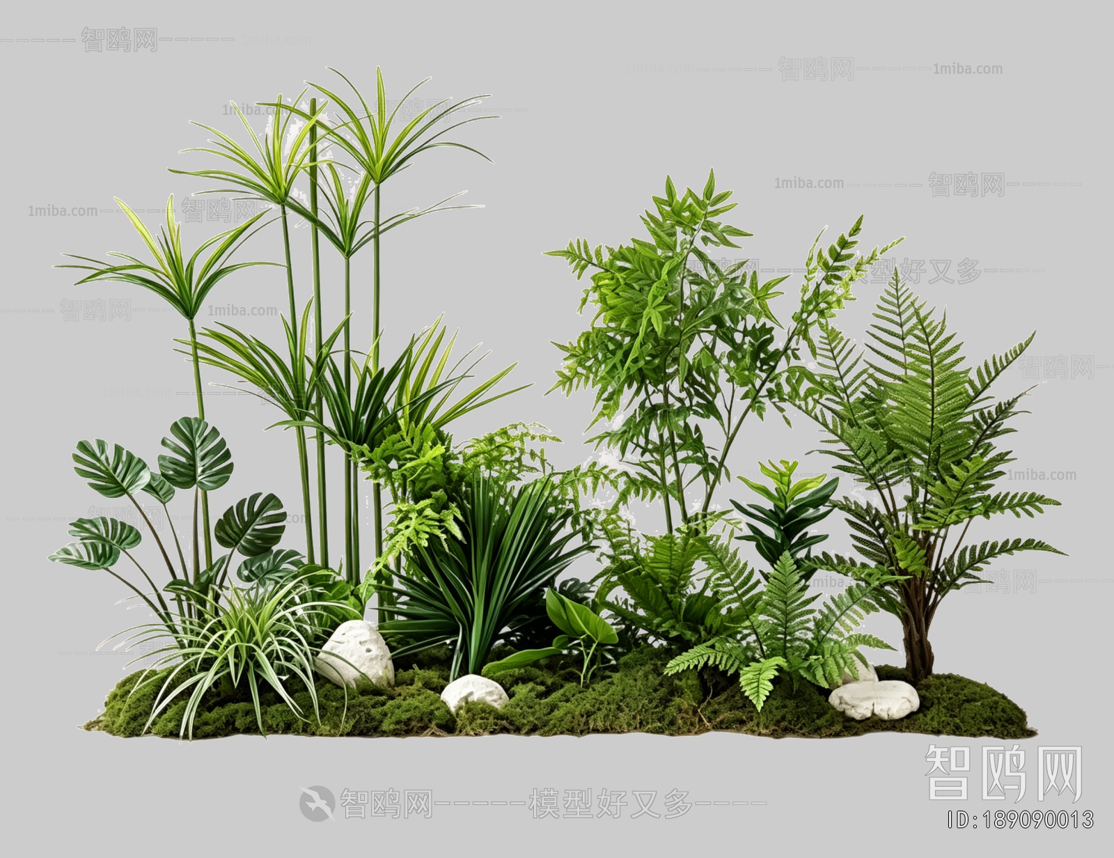 Plant Leaves