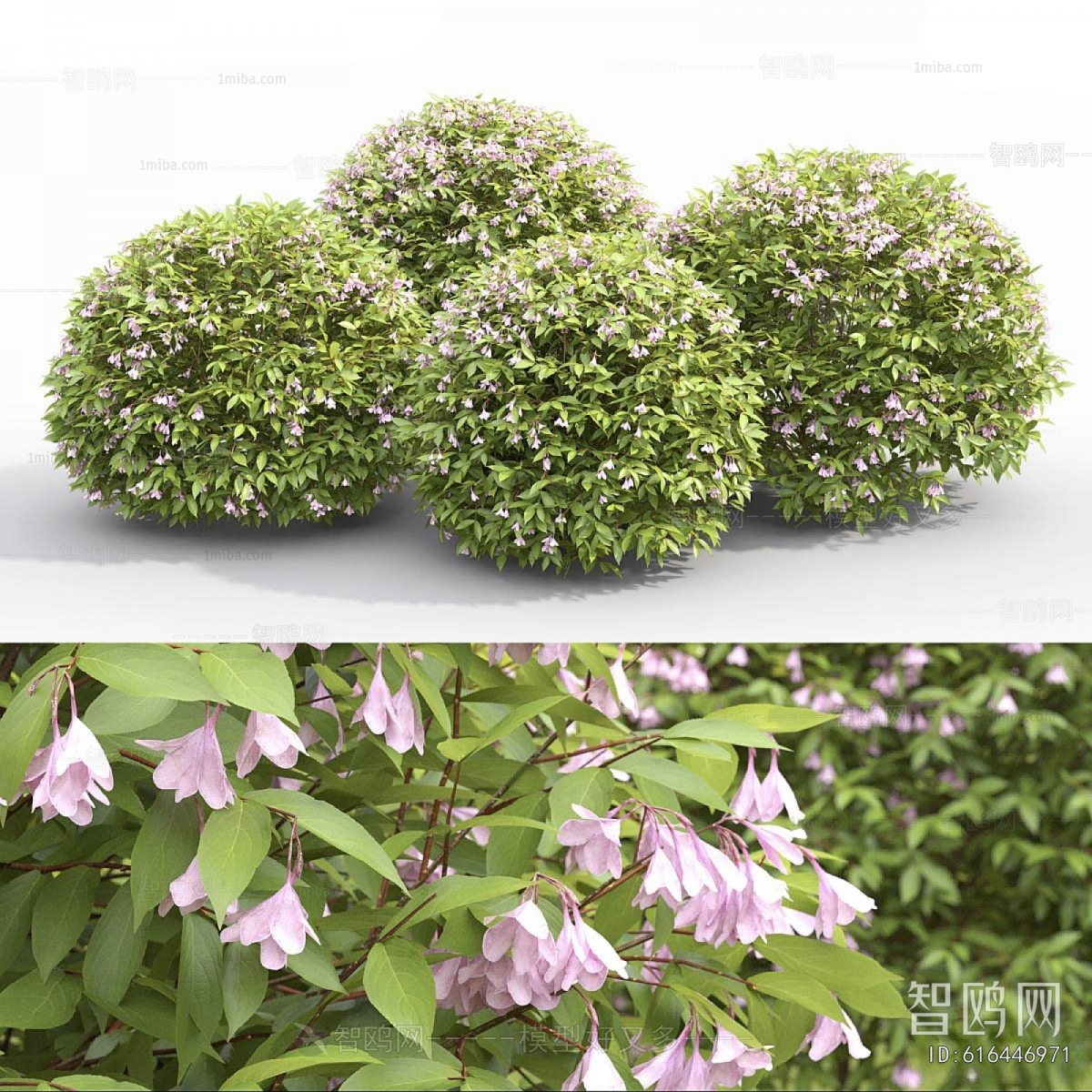 Modern Shrubbery