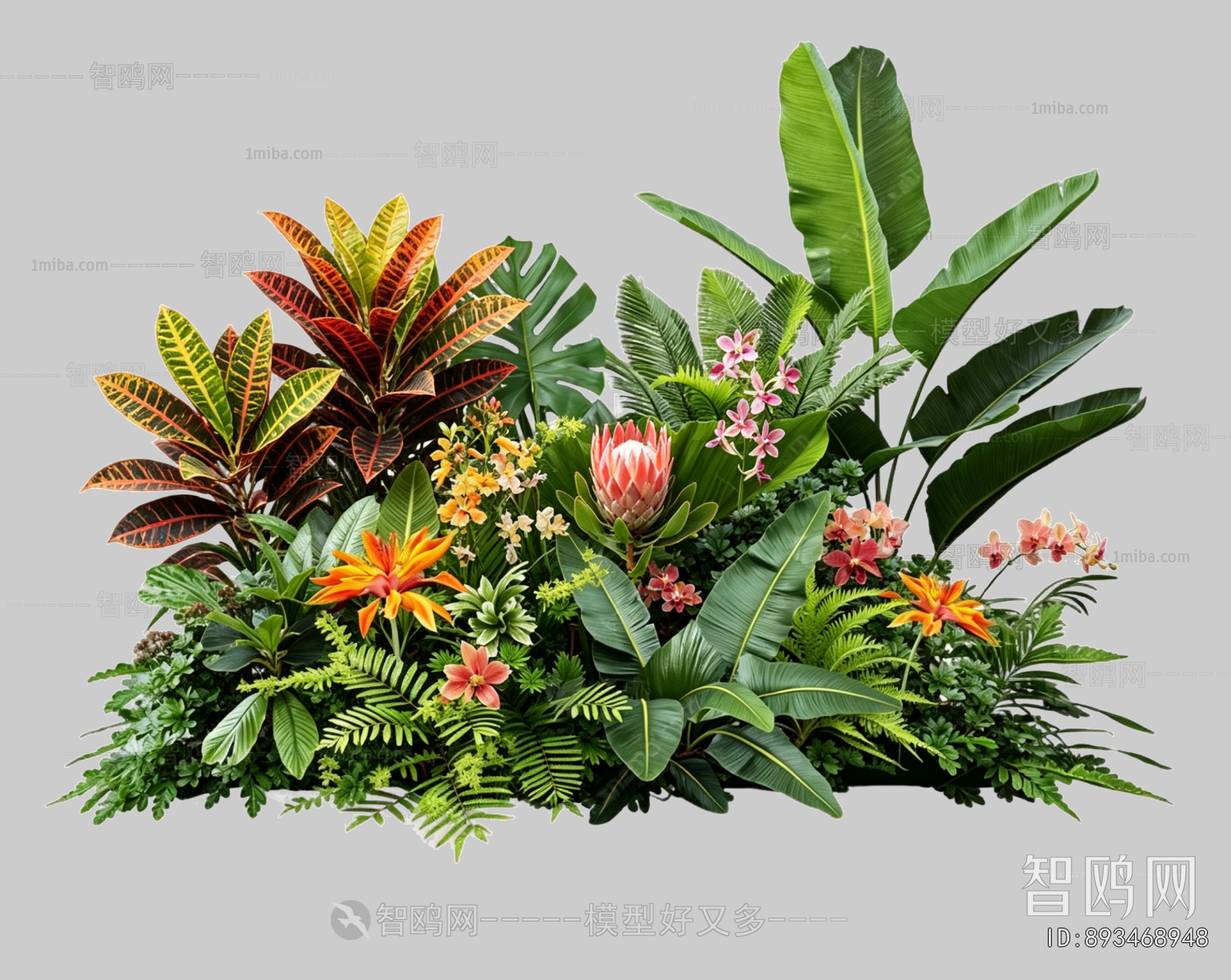 Plant Leaves