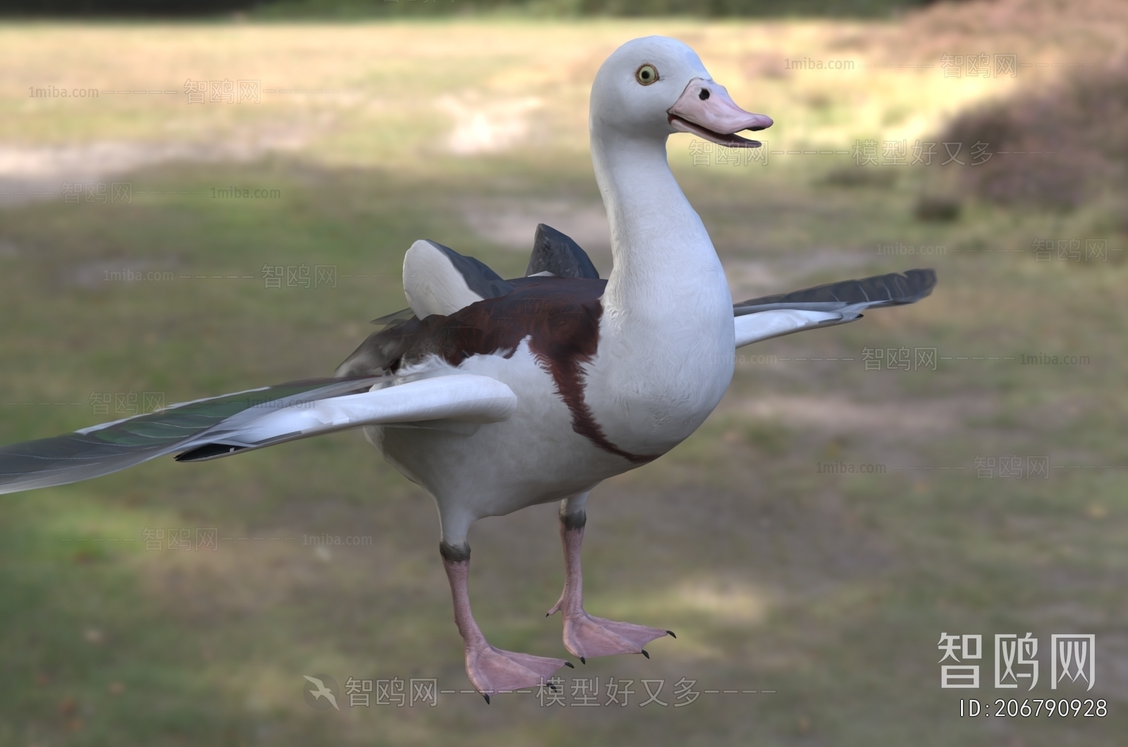 Modern Flying Animals
