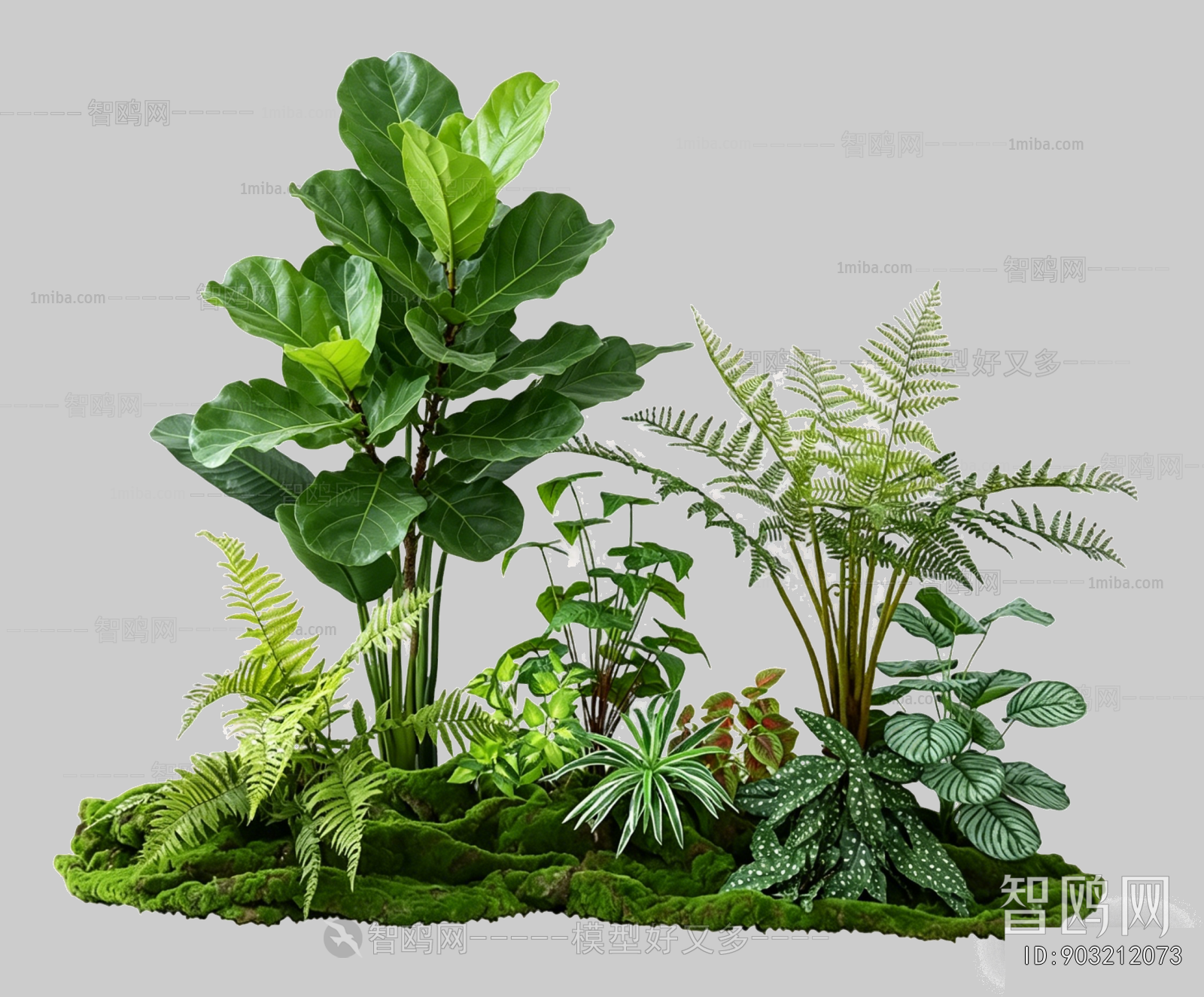 Plant Leaves