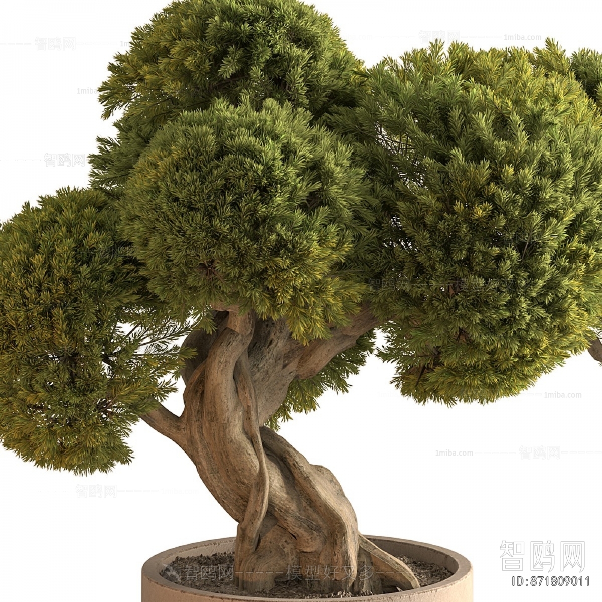 New Chinese Style Bonsai