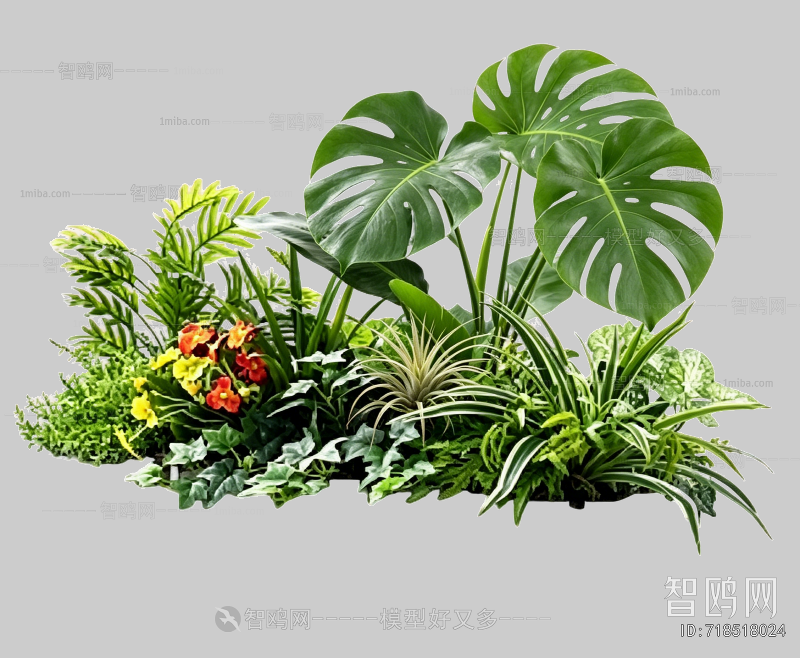 Plant Leaves