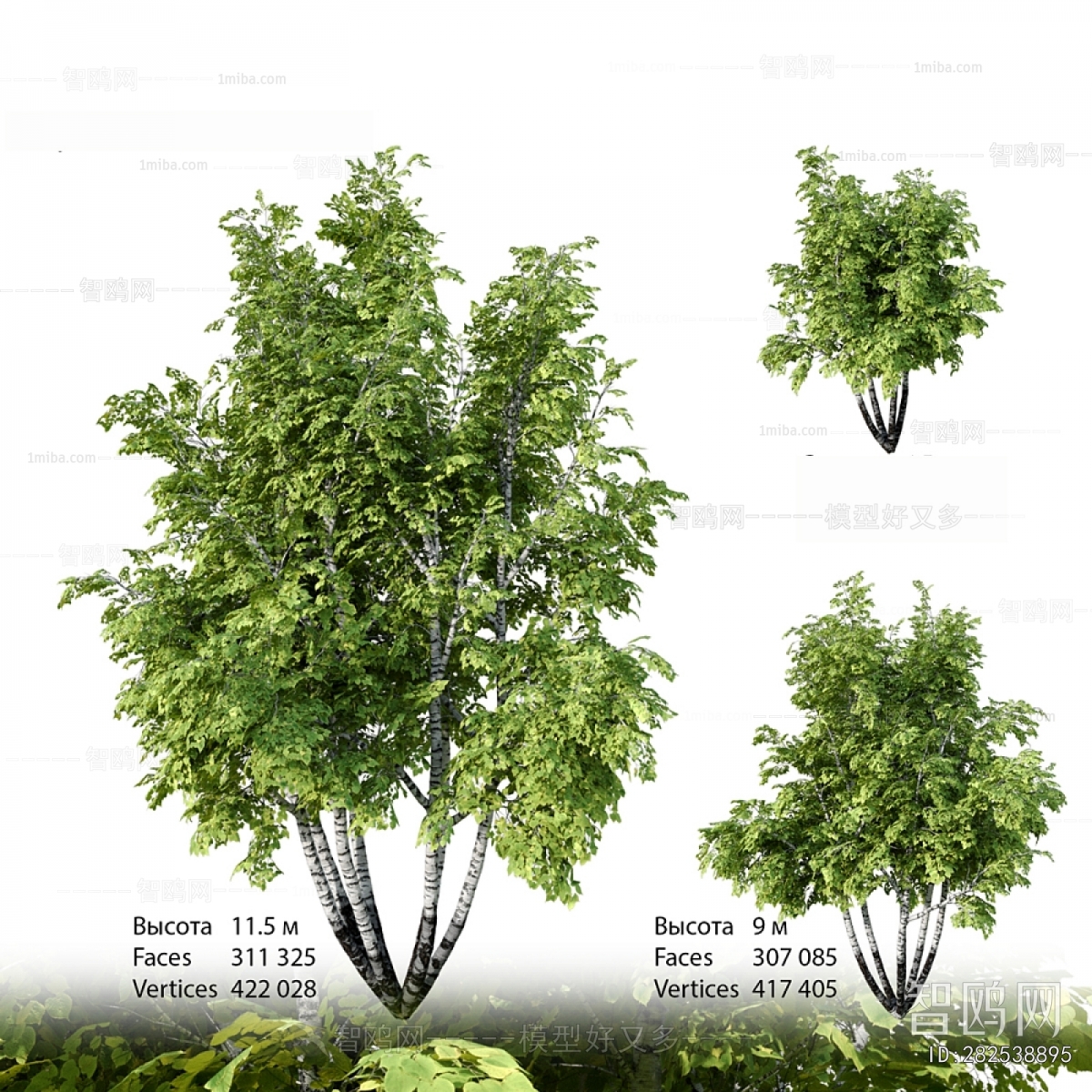 Modern Tree
