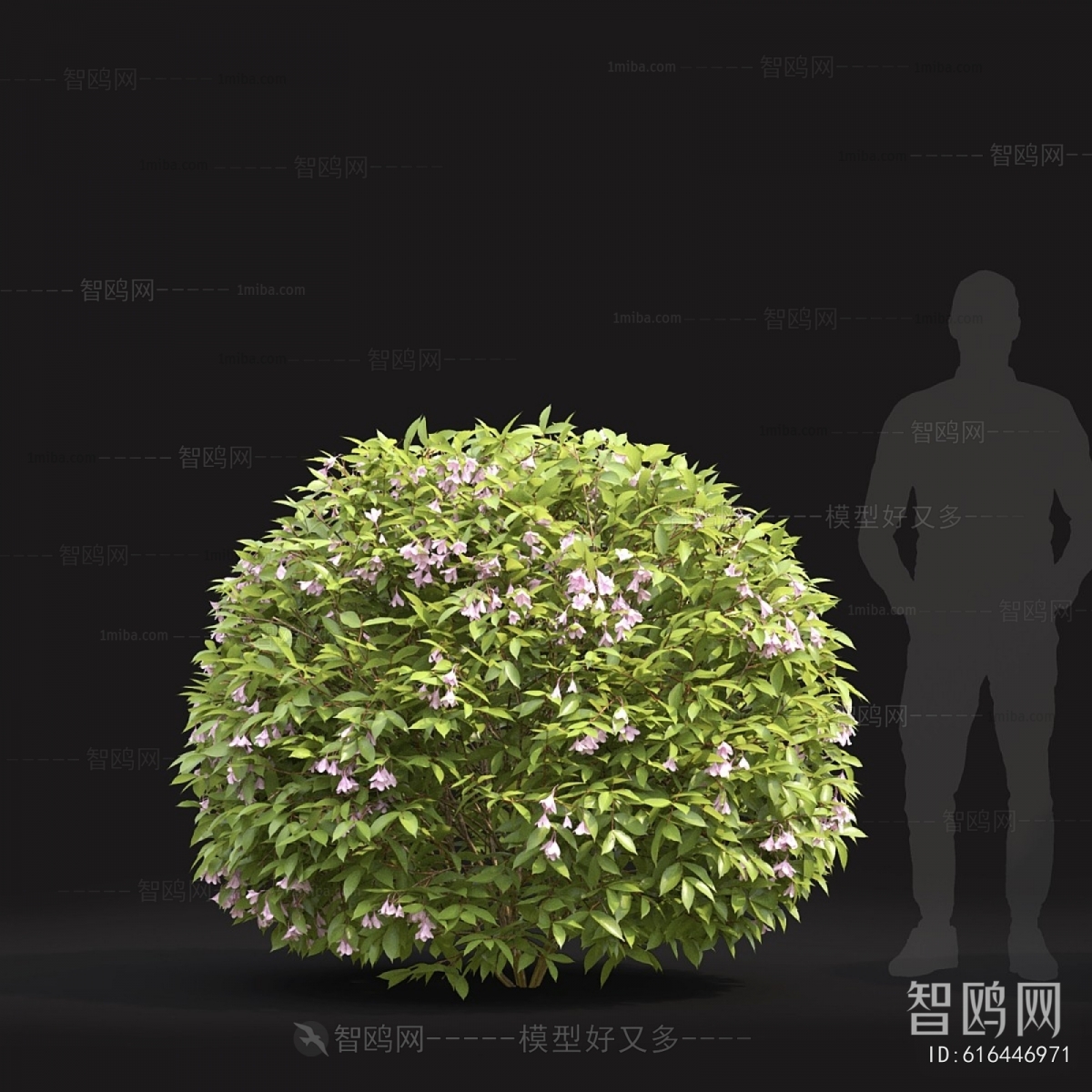 Modern Shrubbery