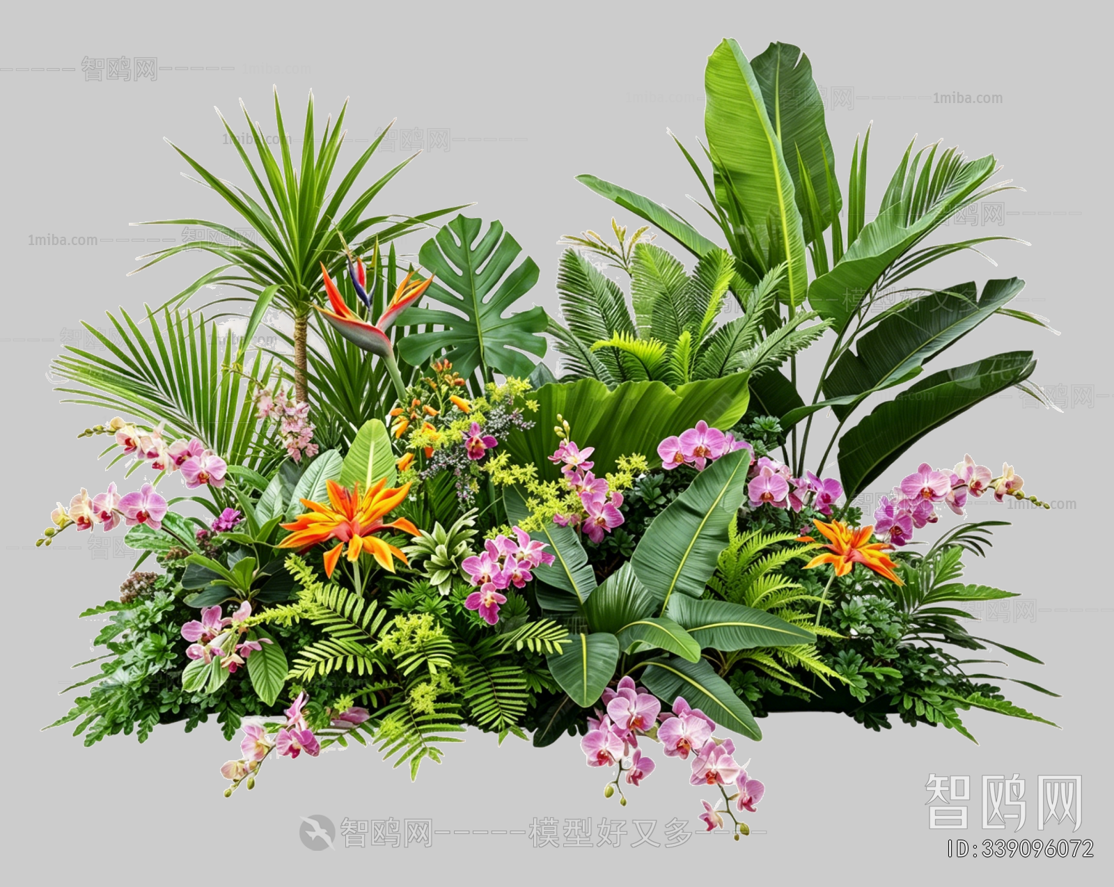 Plant Leaves