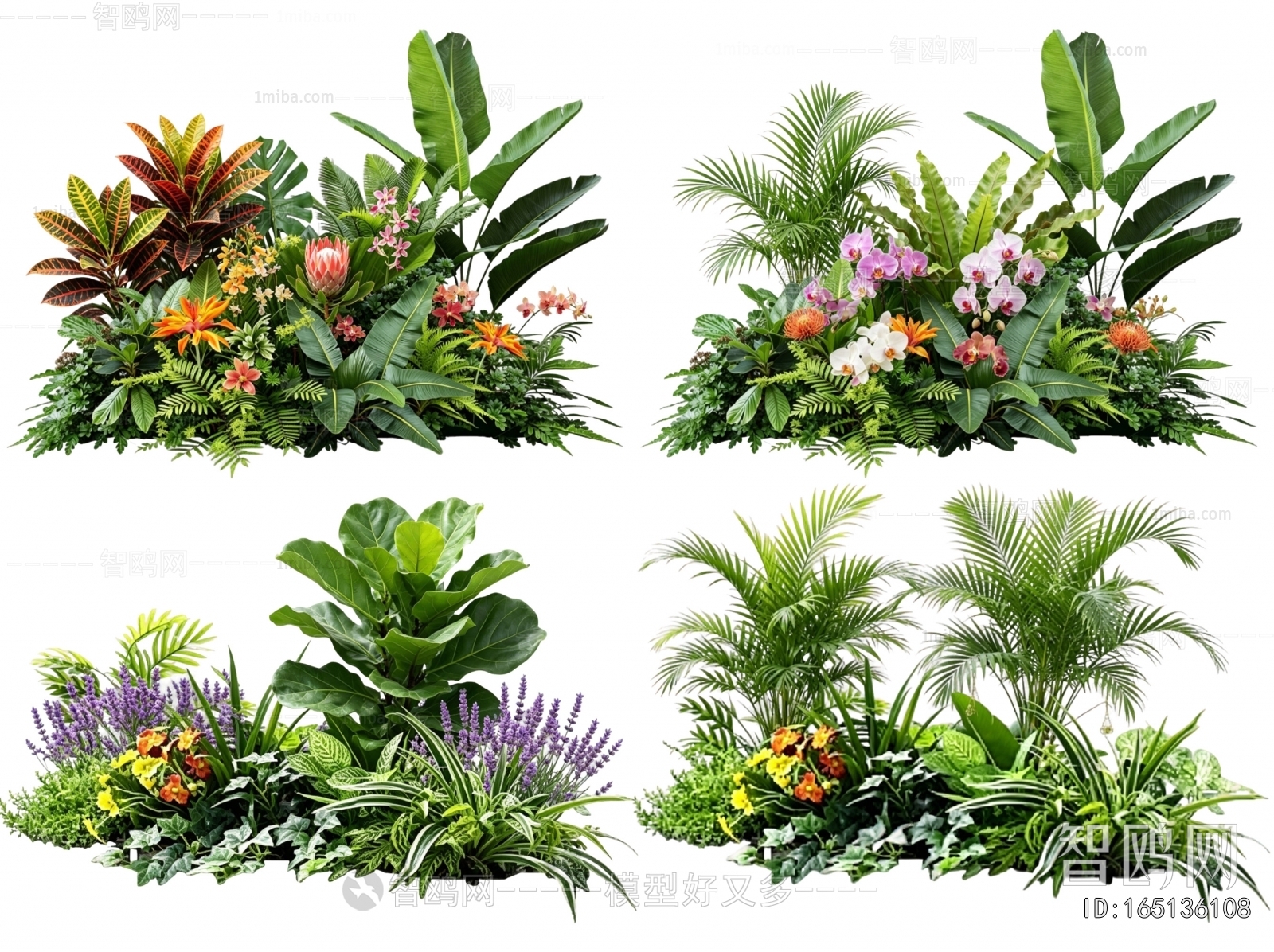 Modern Flowers And Grass