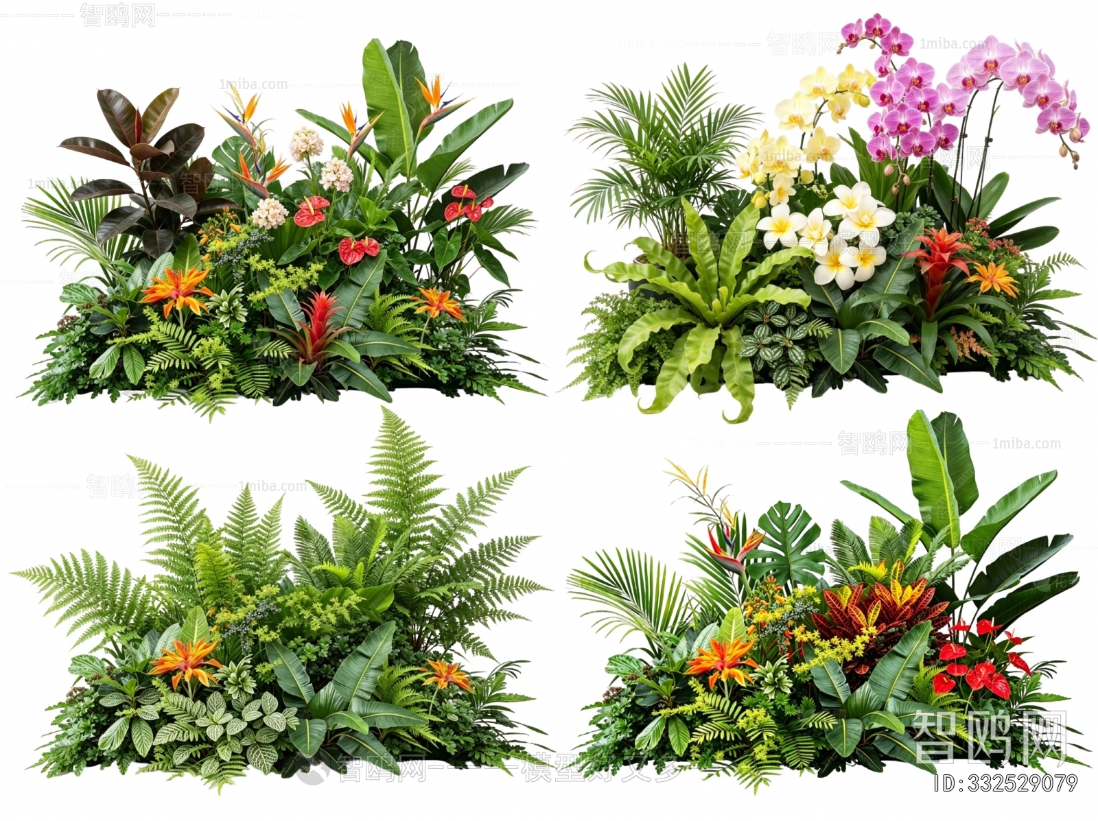 Modern Flowers And Grass