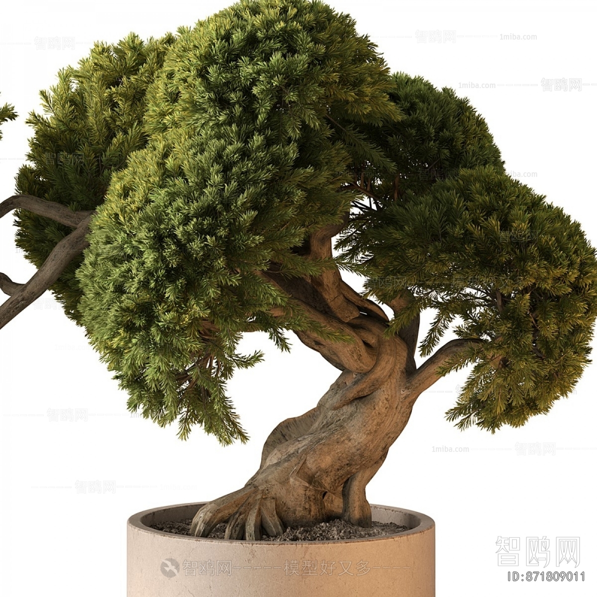 New Chinese Style Bonsai