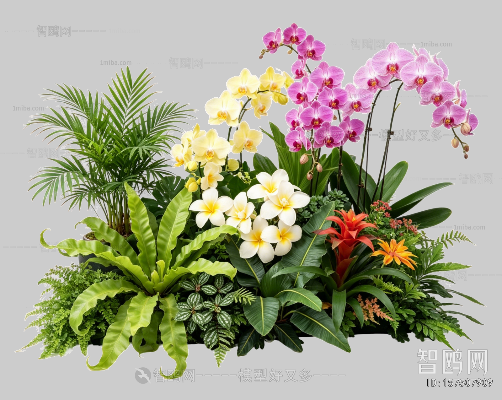 Plant Leaves