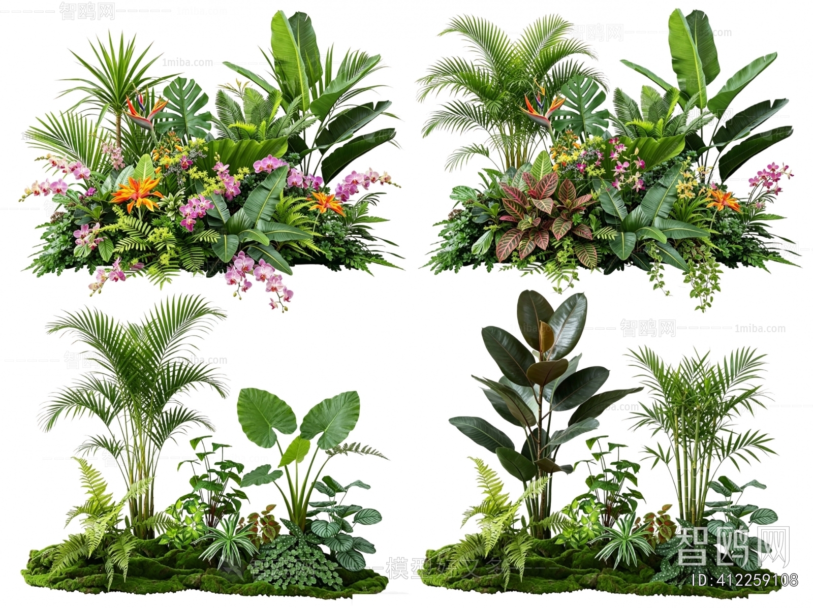 Modern Flowers And Grass