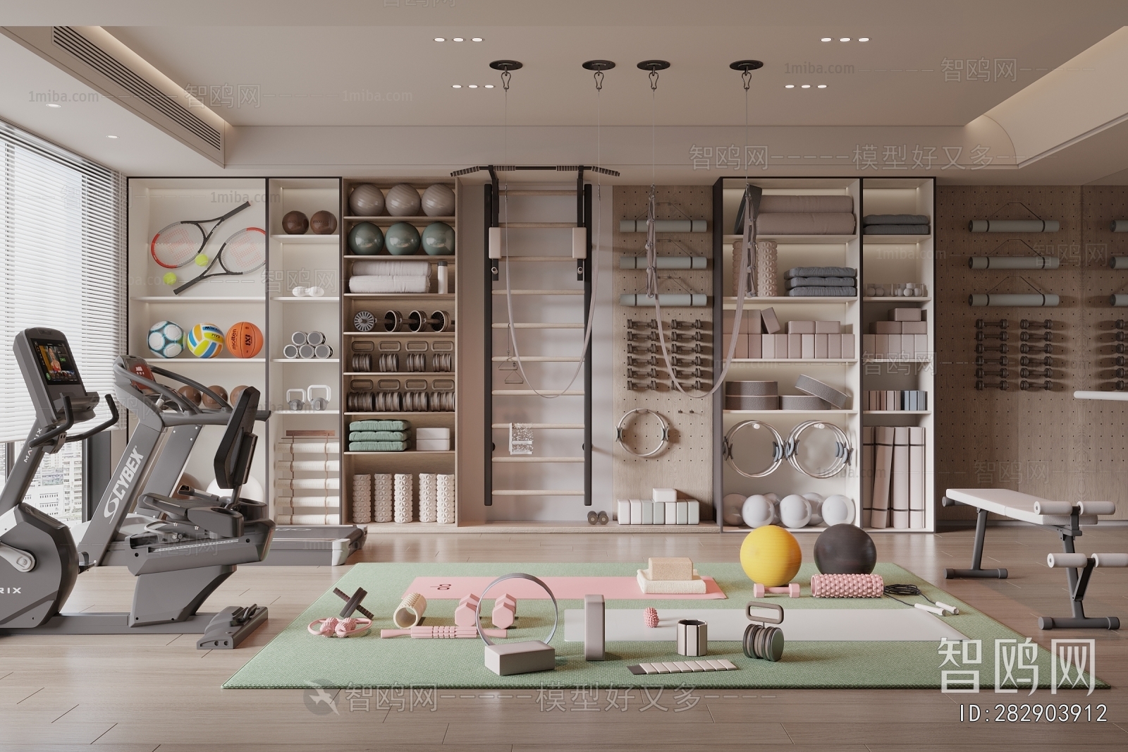 Modern Home Fitness Room