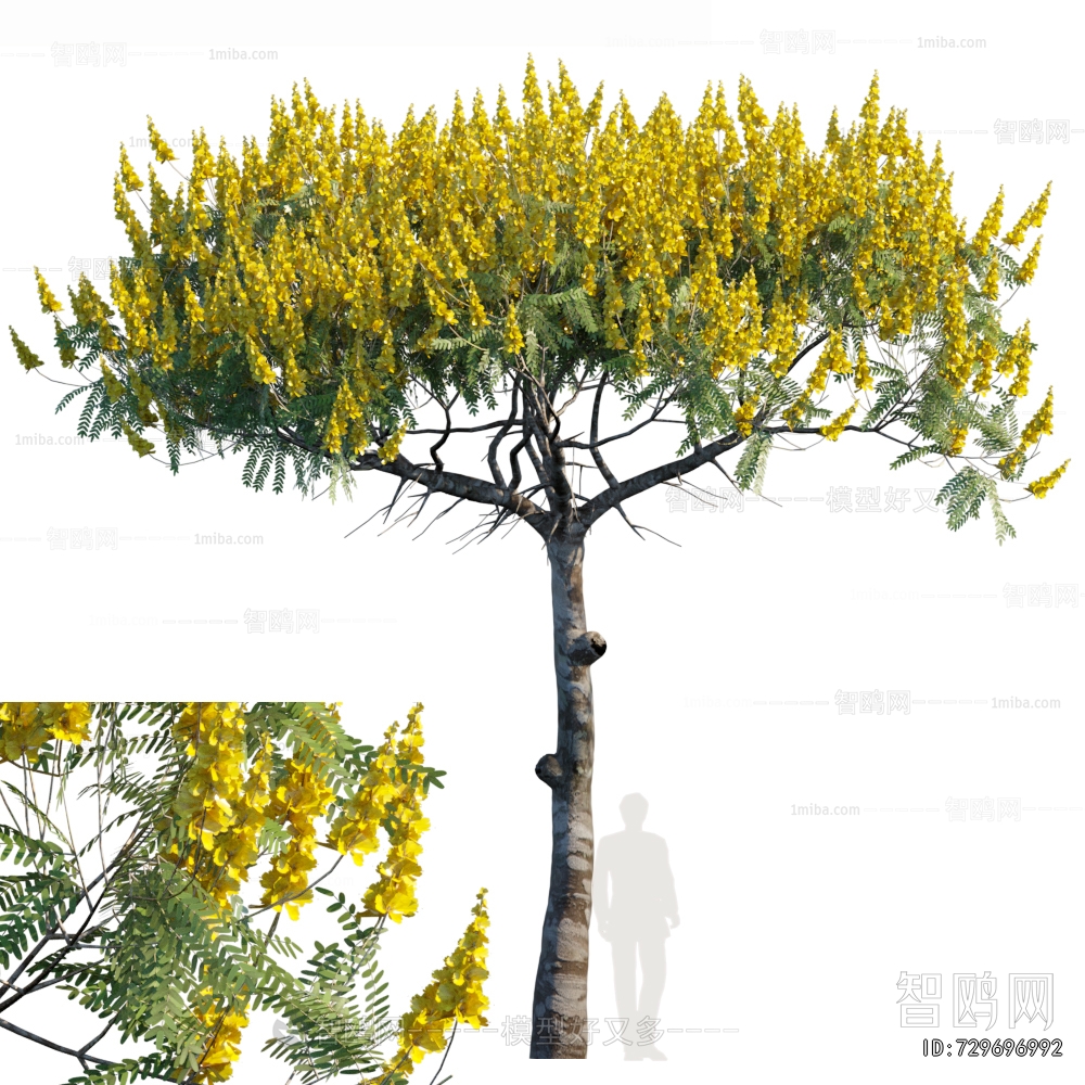 Modern Tree