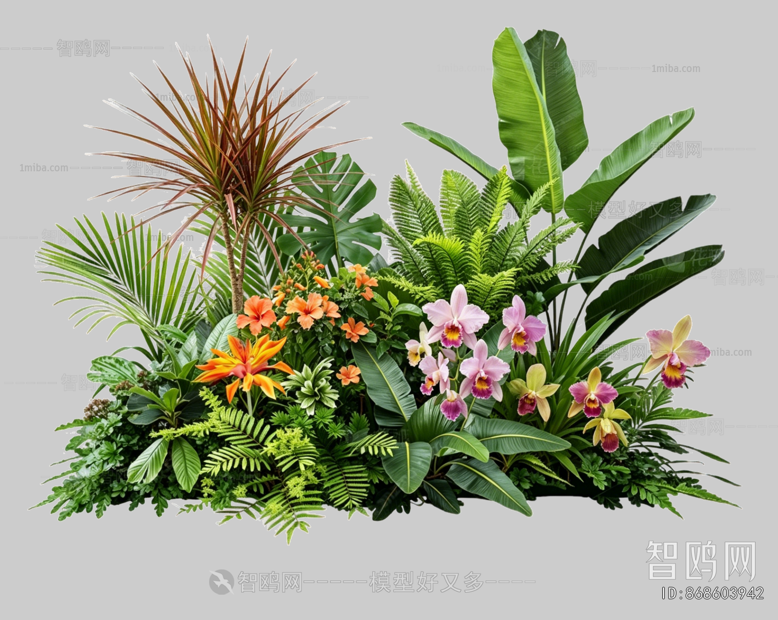 Plant Leaves