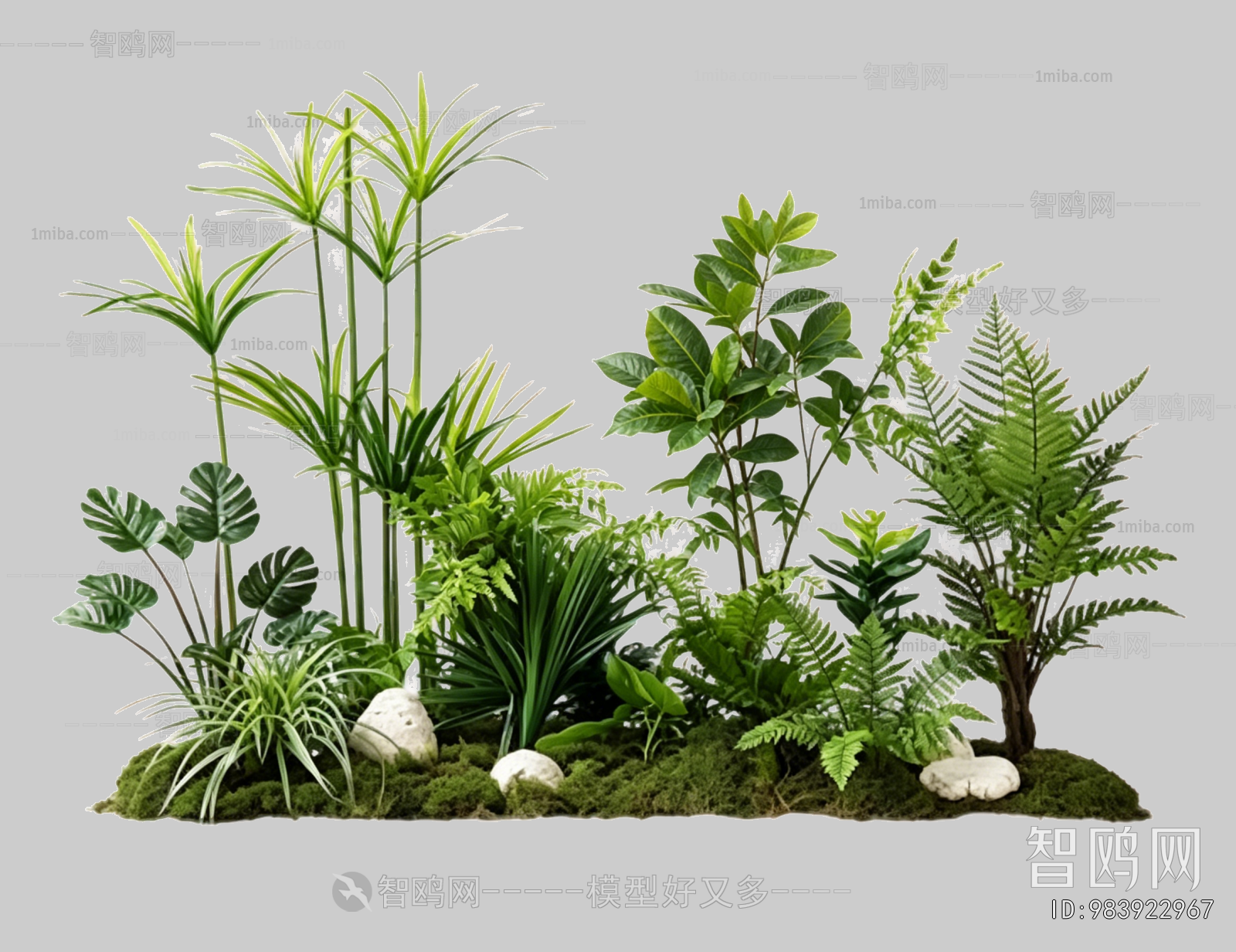Plant Leaves