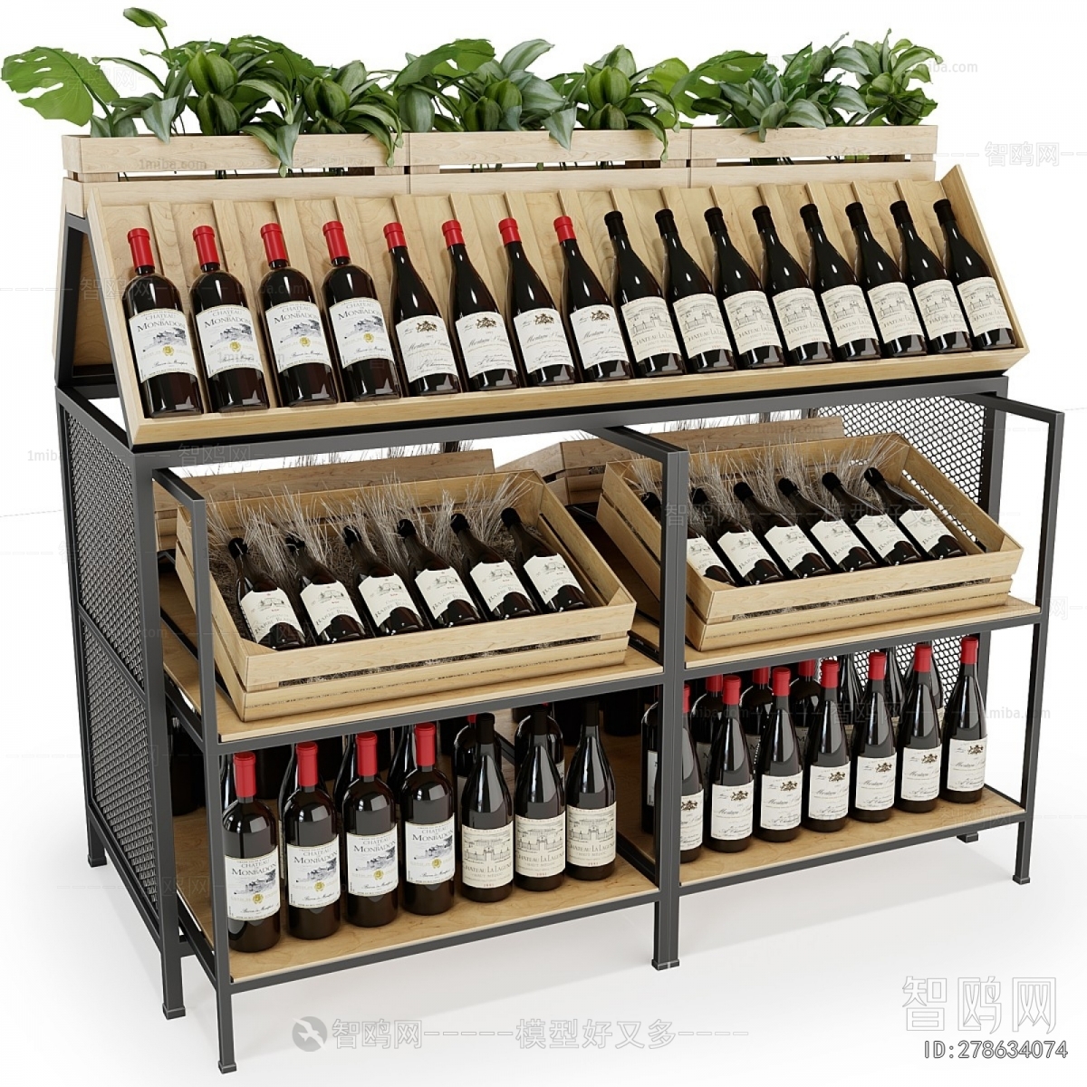 Modern Showcase
