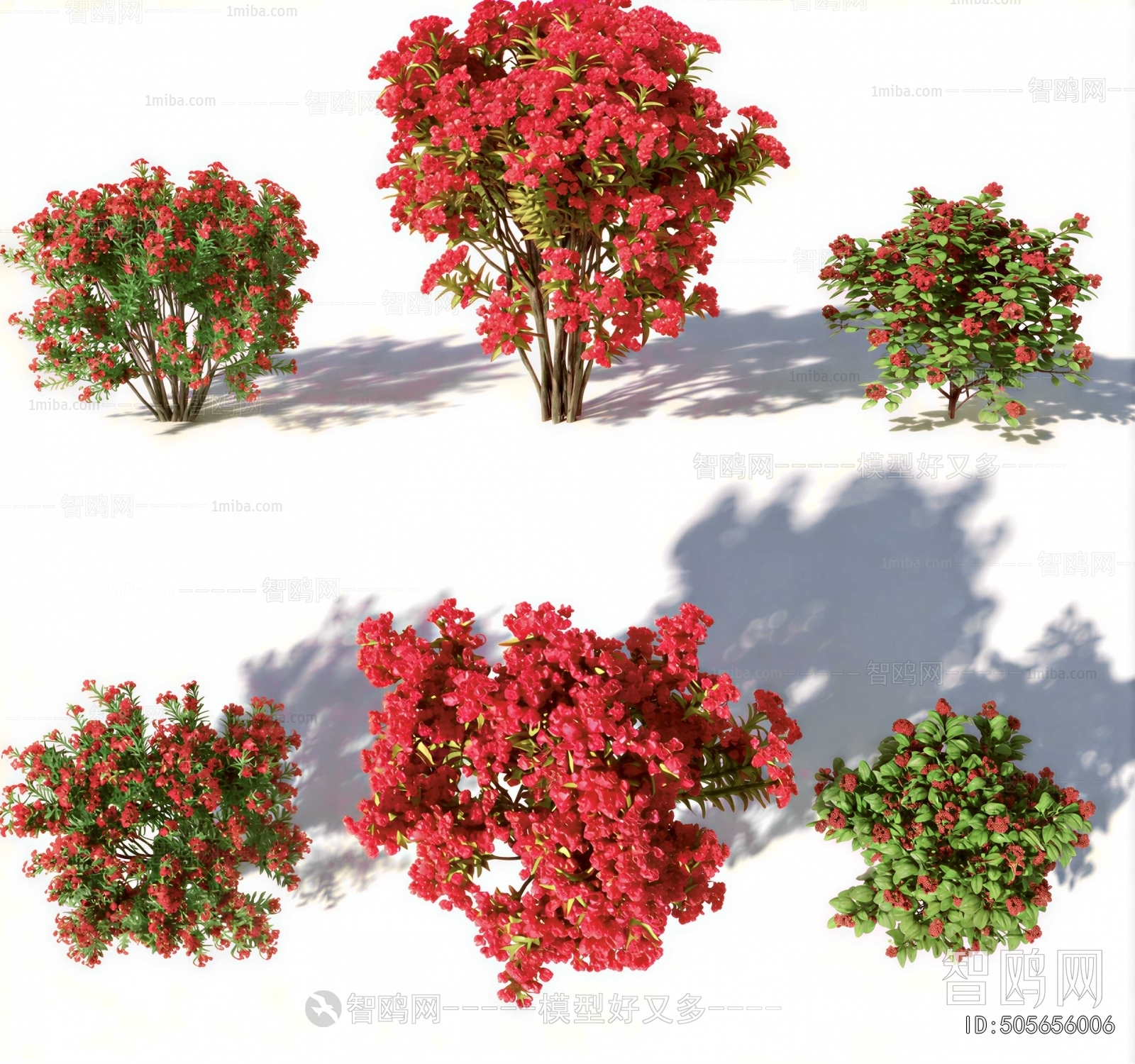 Modern Shrubbery