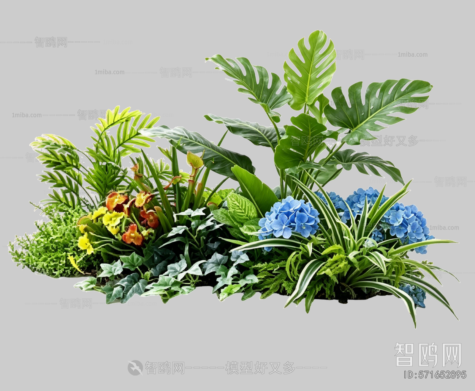 Plant Leaves