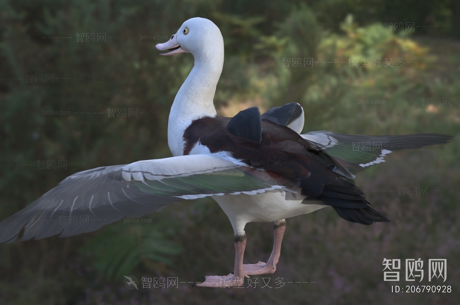 Modern Flying Animals