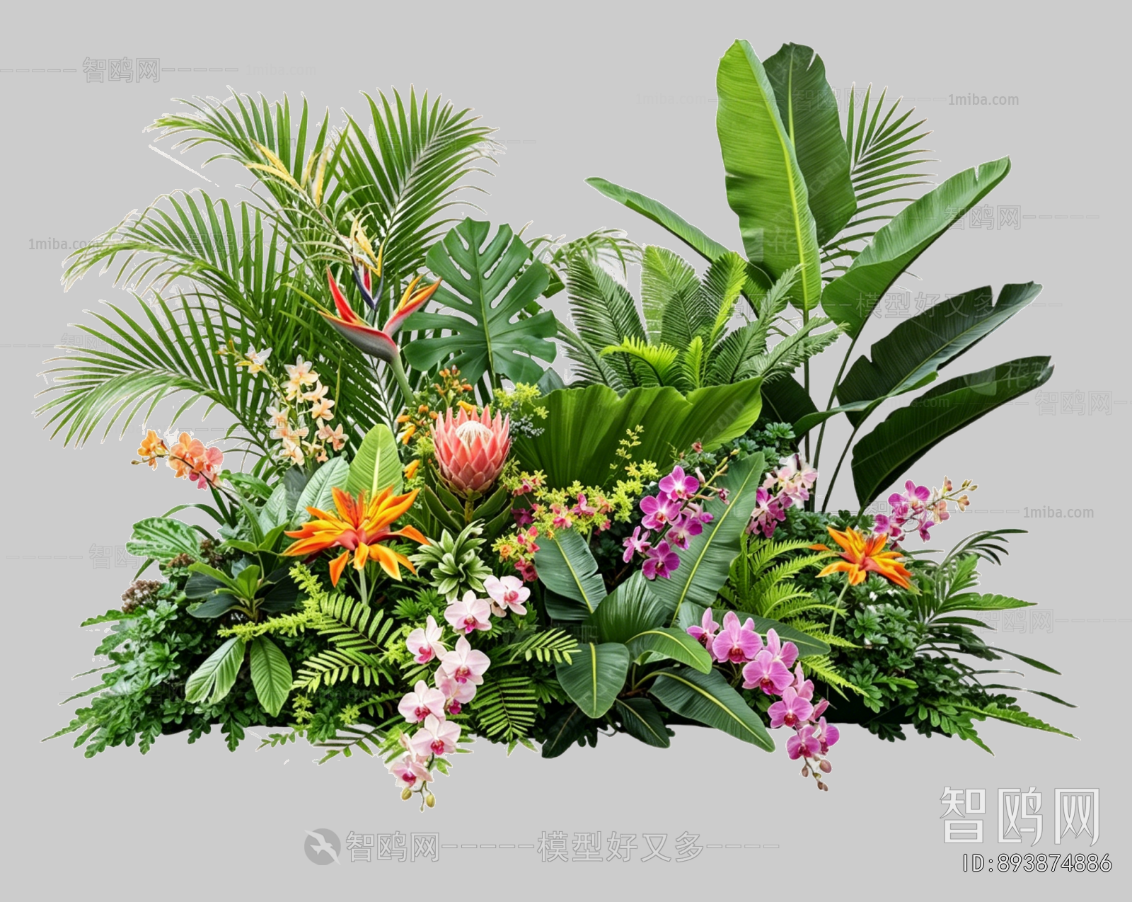 Plant Leaves