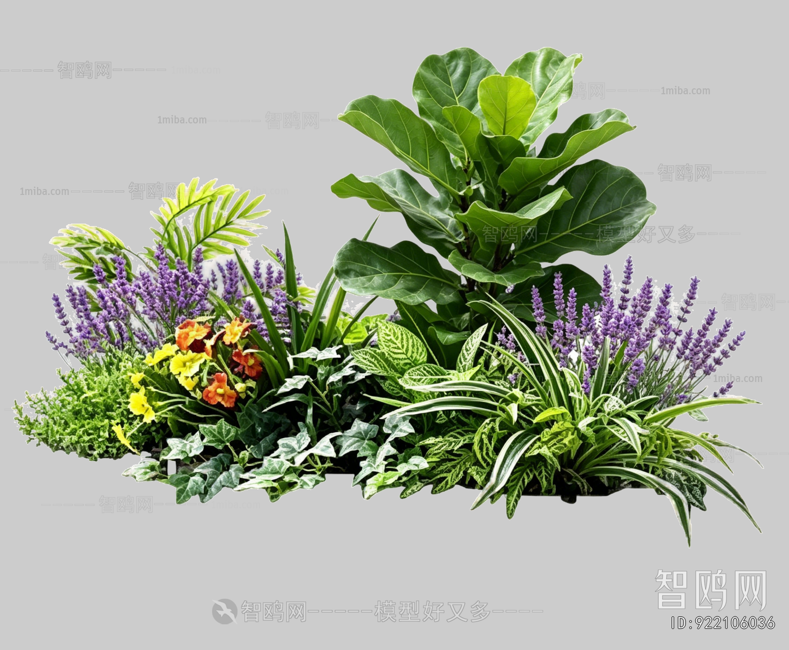 Plant Leaves
