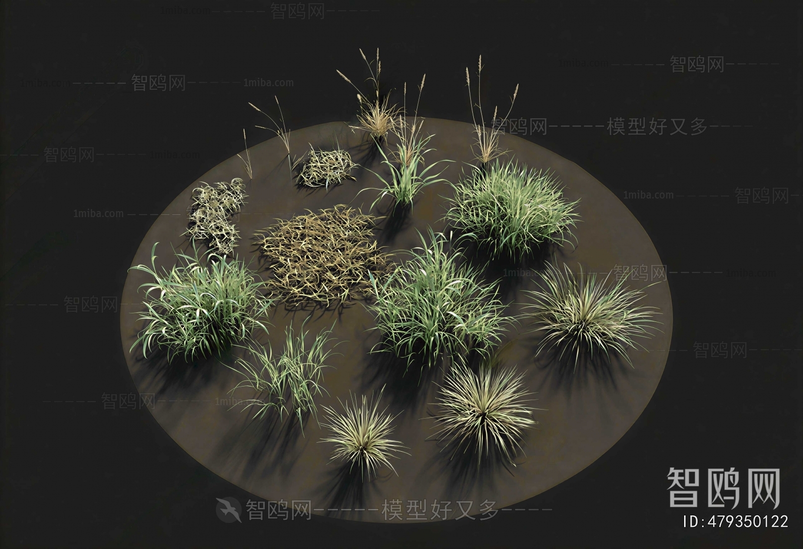 Modern Flowers And Grass