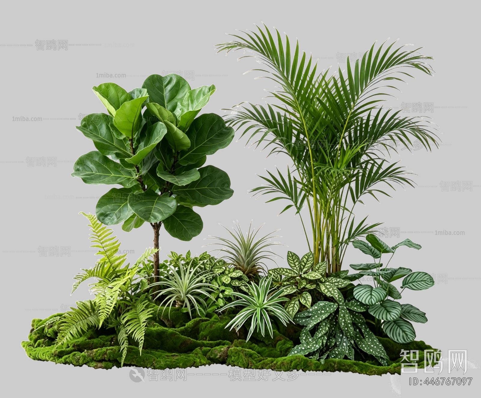 Plant Leaves