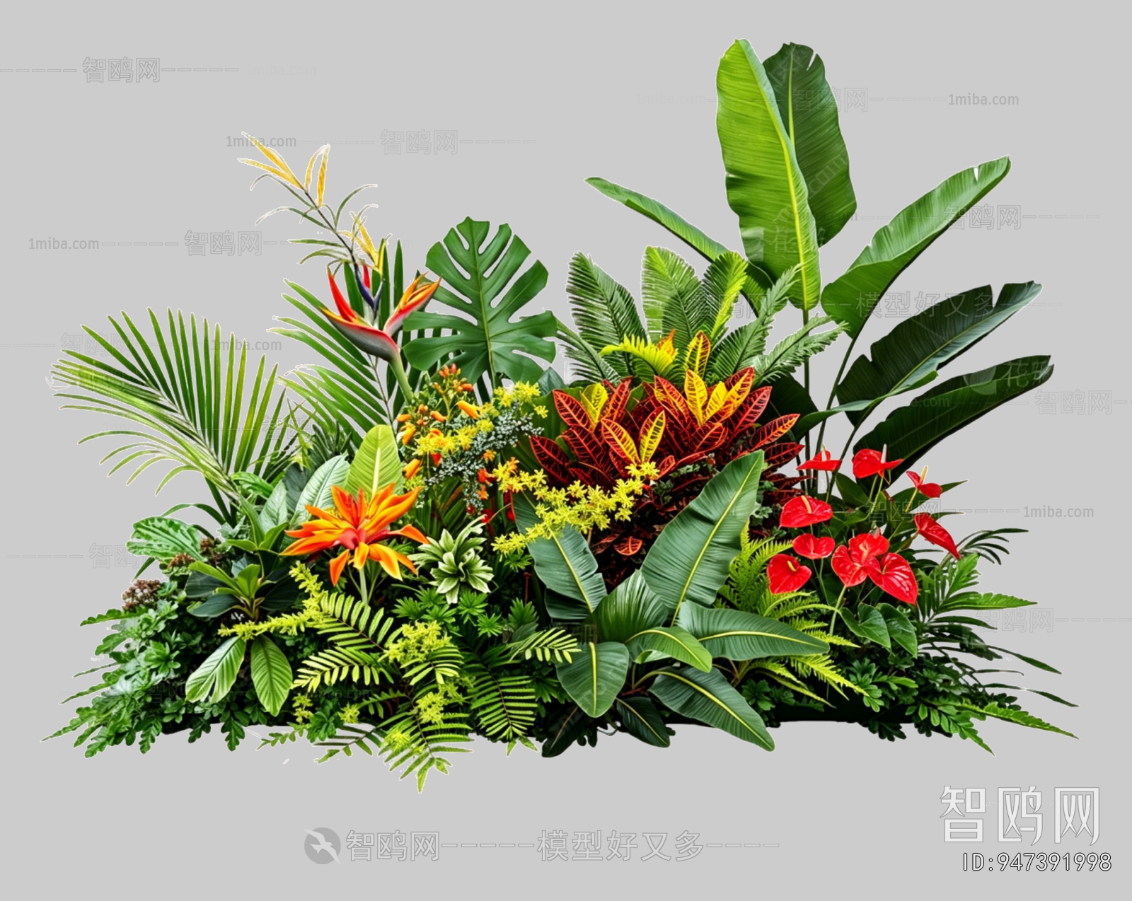 Plant Leaves