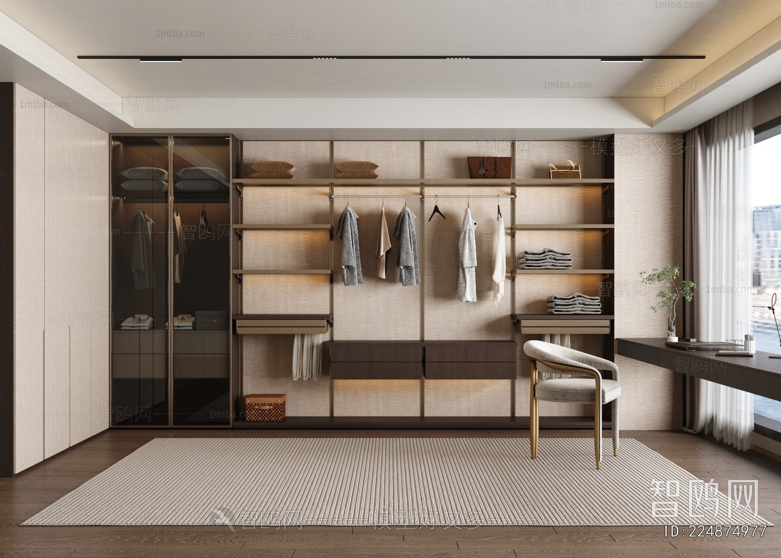 Modern Clothes Storage Area