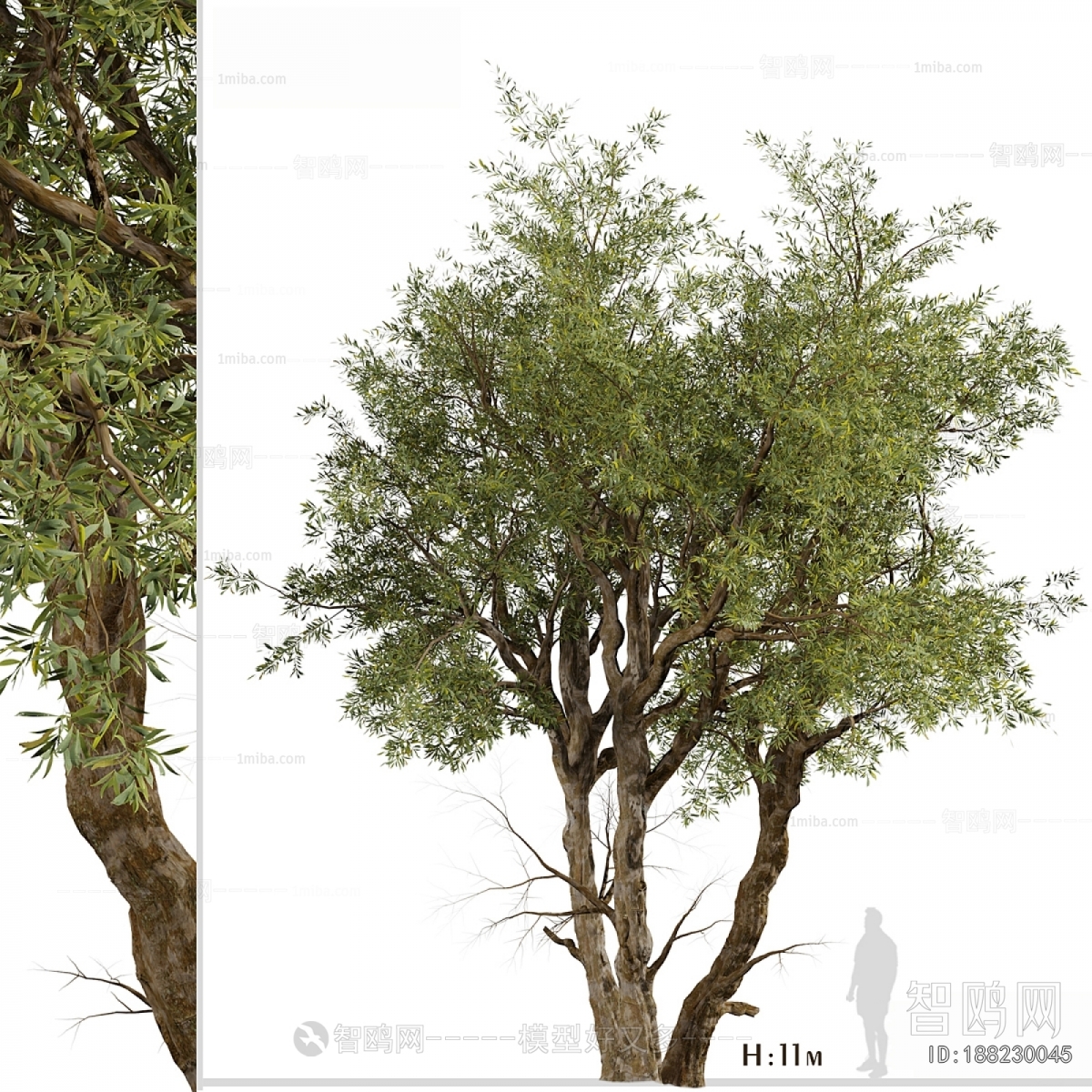 Modern Tree