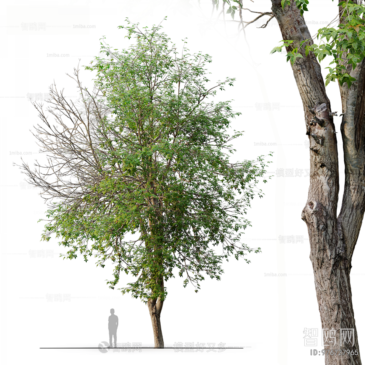 Modern Tree