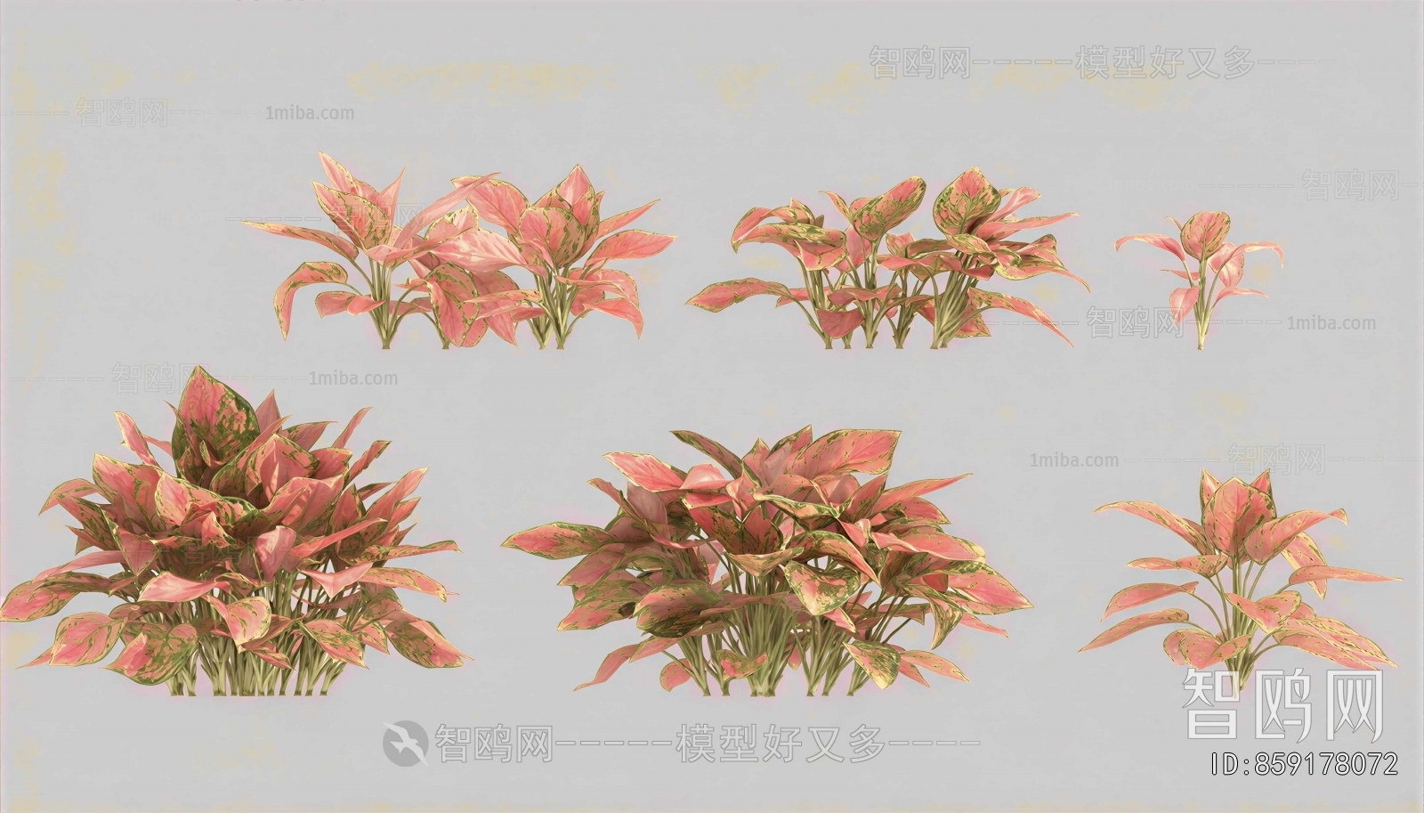 Modern Flowers And Grass
