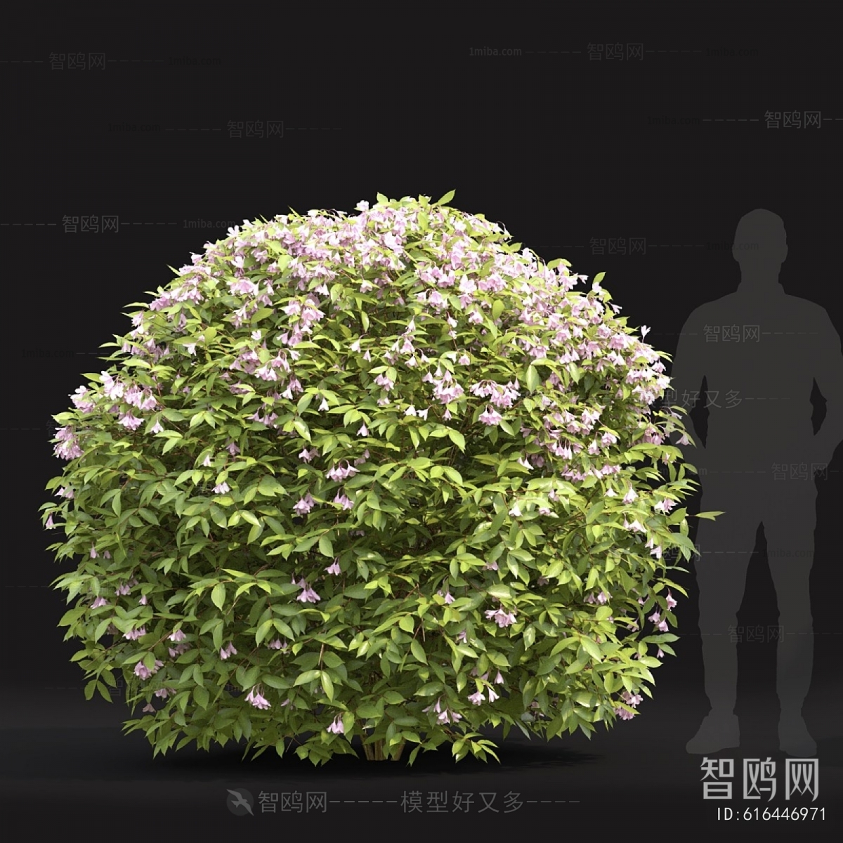 Modern Shrubbery