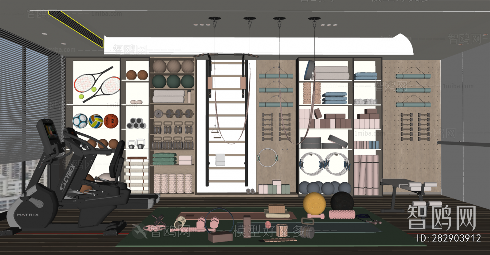 Modern Home Fitness Room